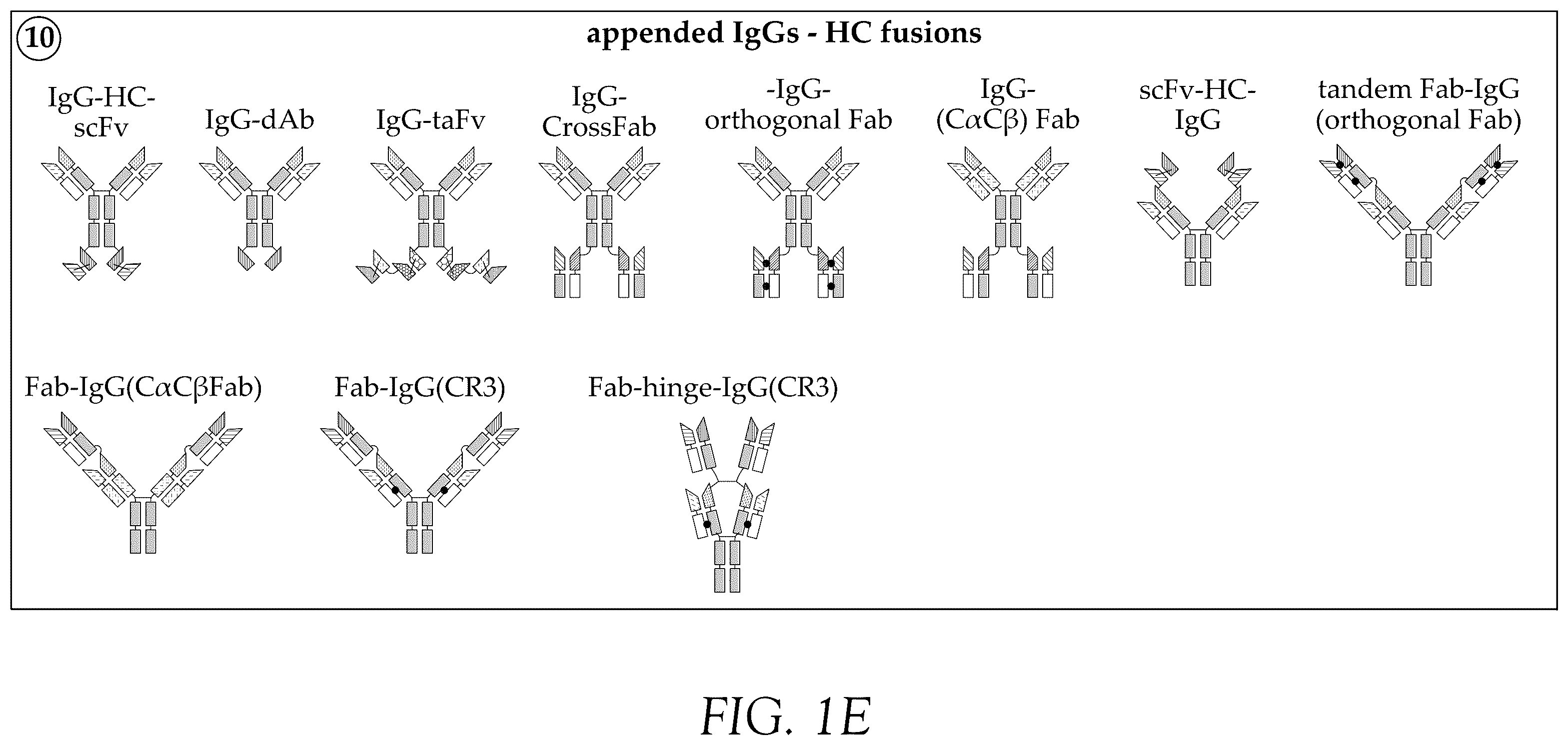 Patent US12583932 Figure 5 – CD38 and ICAM1 antibodies and uses thereof