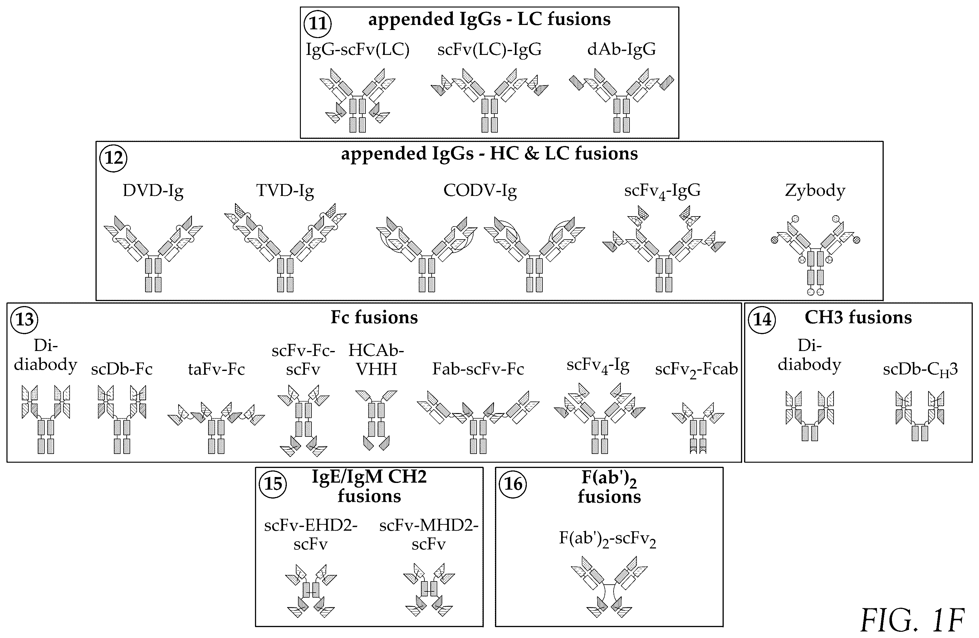 Patent US12583932 Figure 6 – CD38 and ICAM1 antibodies and uses thereof