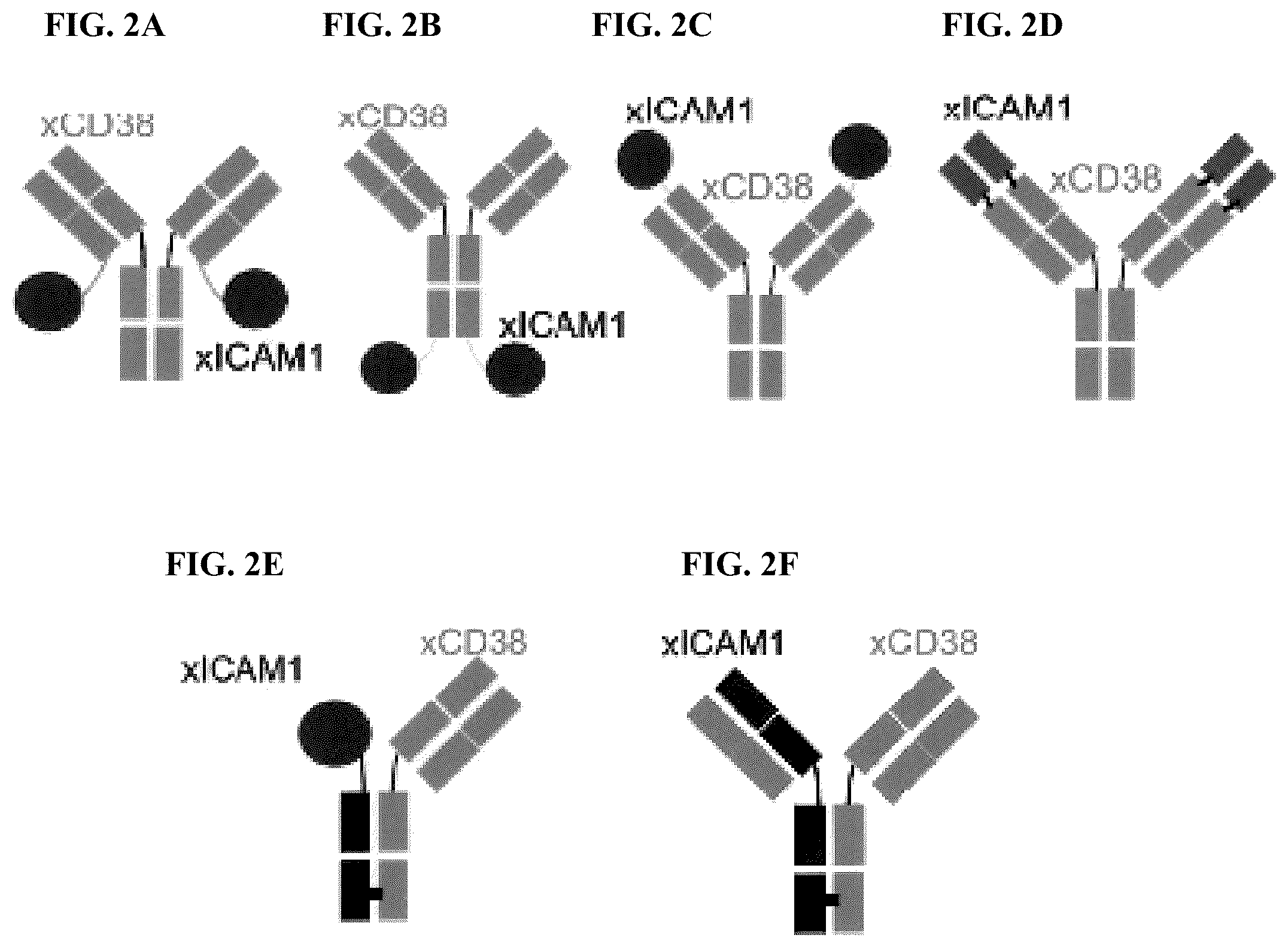 Patent US12583932 Figure 8 – CD38 and ICAM1 antibodies and uses thereof