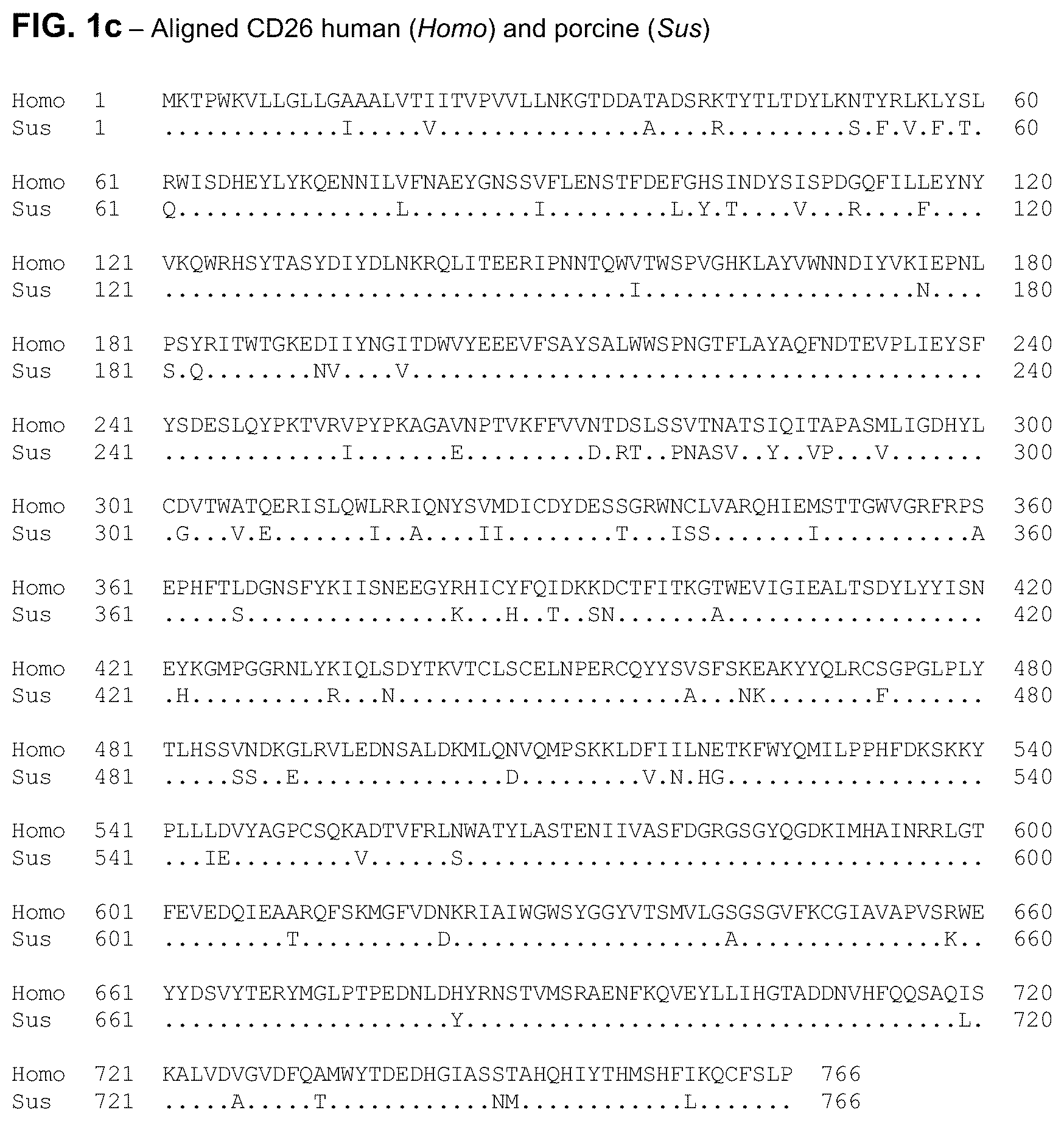 Patent US12583934 Figure 2 – Anti-CD26 antibodies and uses thereof