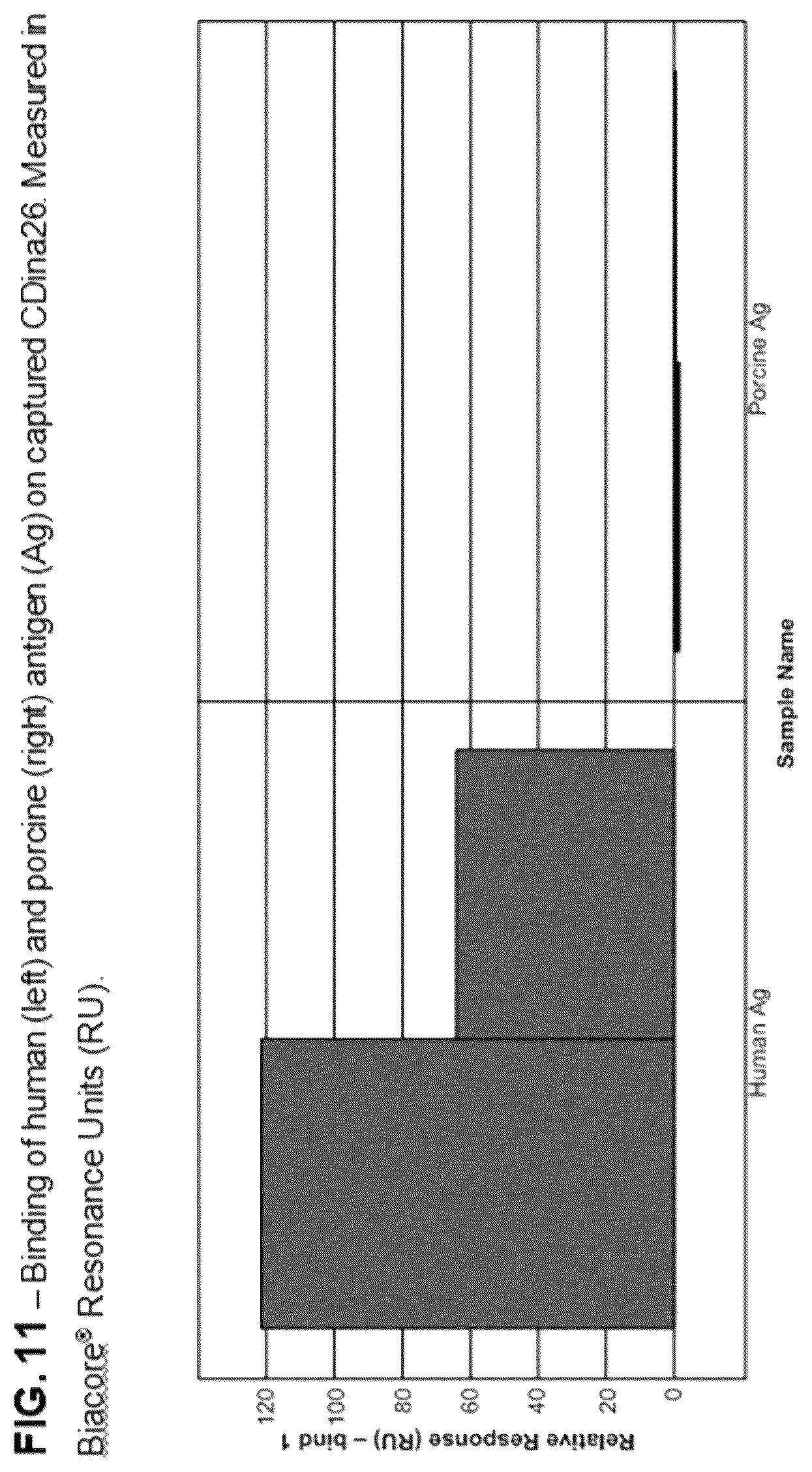 Patent US12583934 Figure 11 – Anti-CD26 antibodies and uses thereof