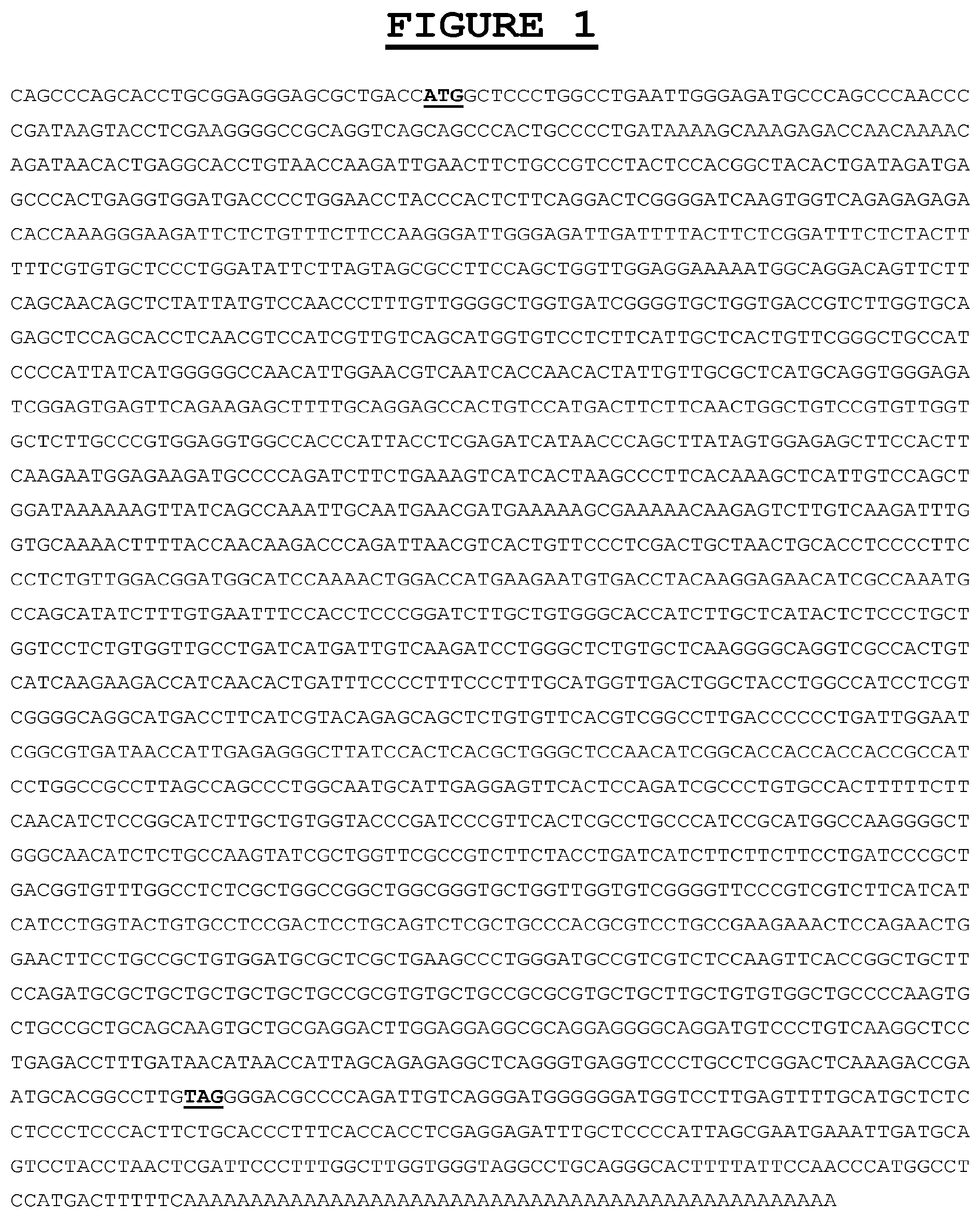 Patent US12583937 Figure 1 – Compositions and methods for the diagnosis and treatment of tumor
