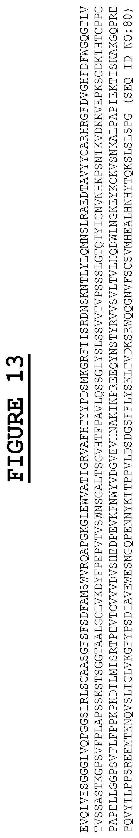 Patent US12583937 Figure 17 – Compositions and methods for the diagnosis and treatment of tumor