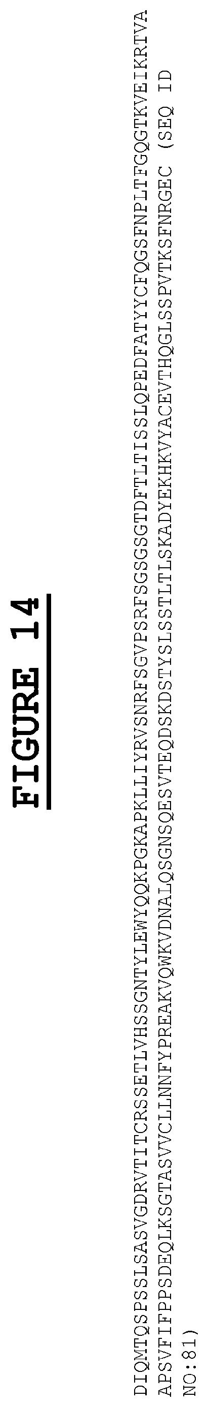 Patent US12583937 Figure 18 – Compositions and methods for the diagnosis and treatment of tumor