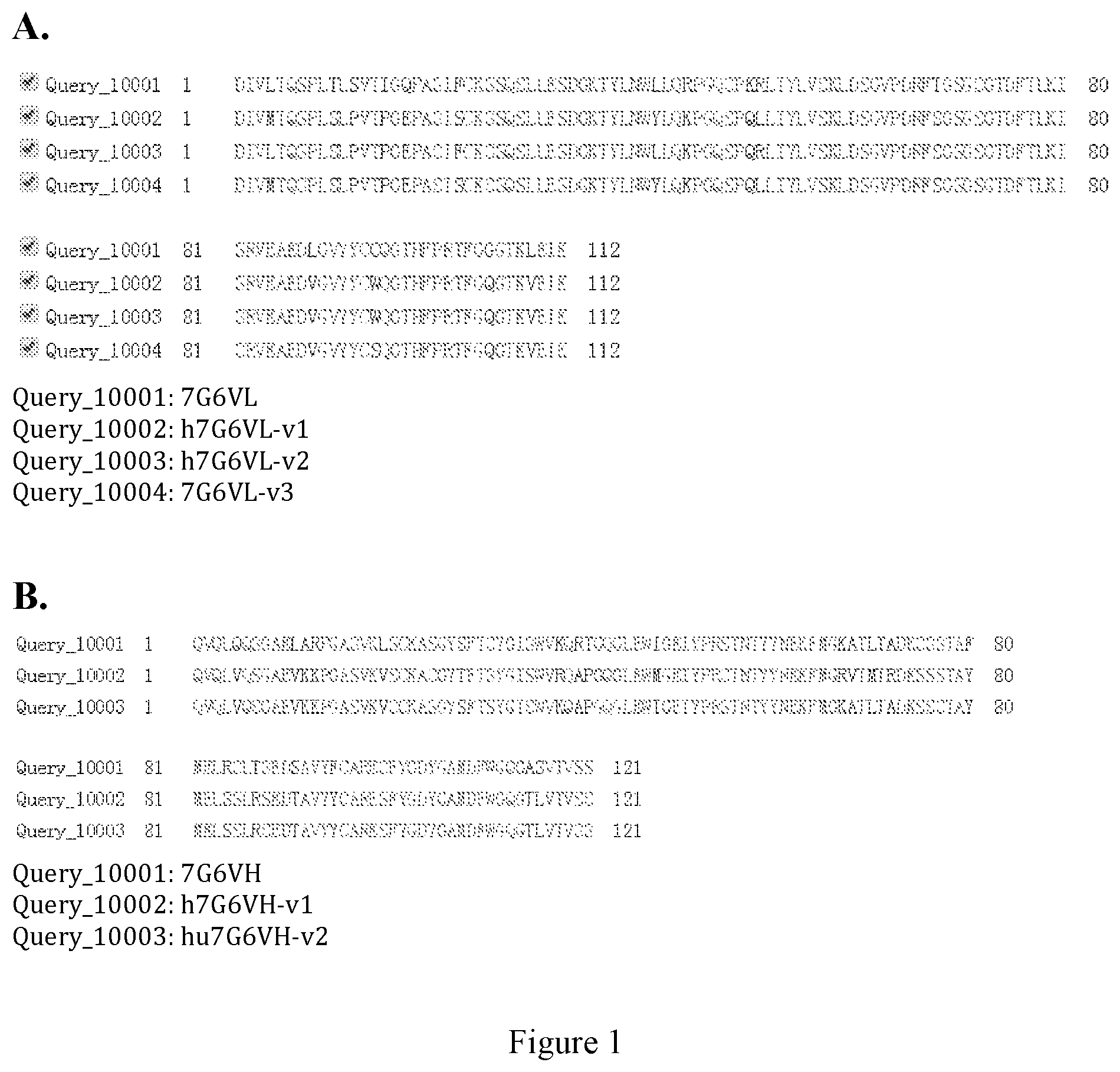 Patent US12583940 — Monoclonal antibody which targets TFPI — Figure 1