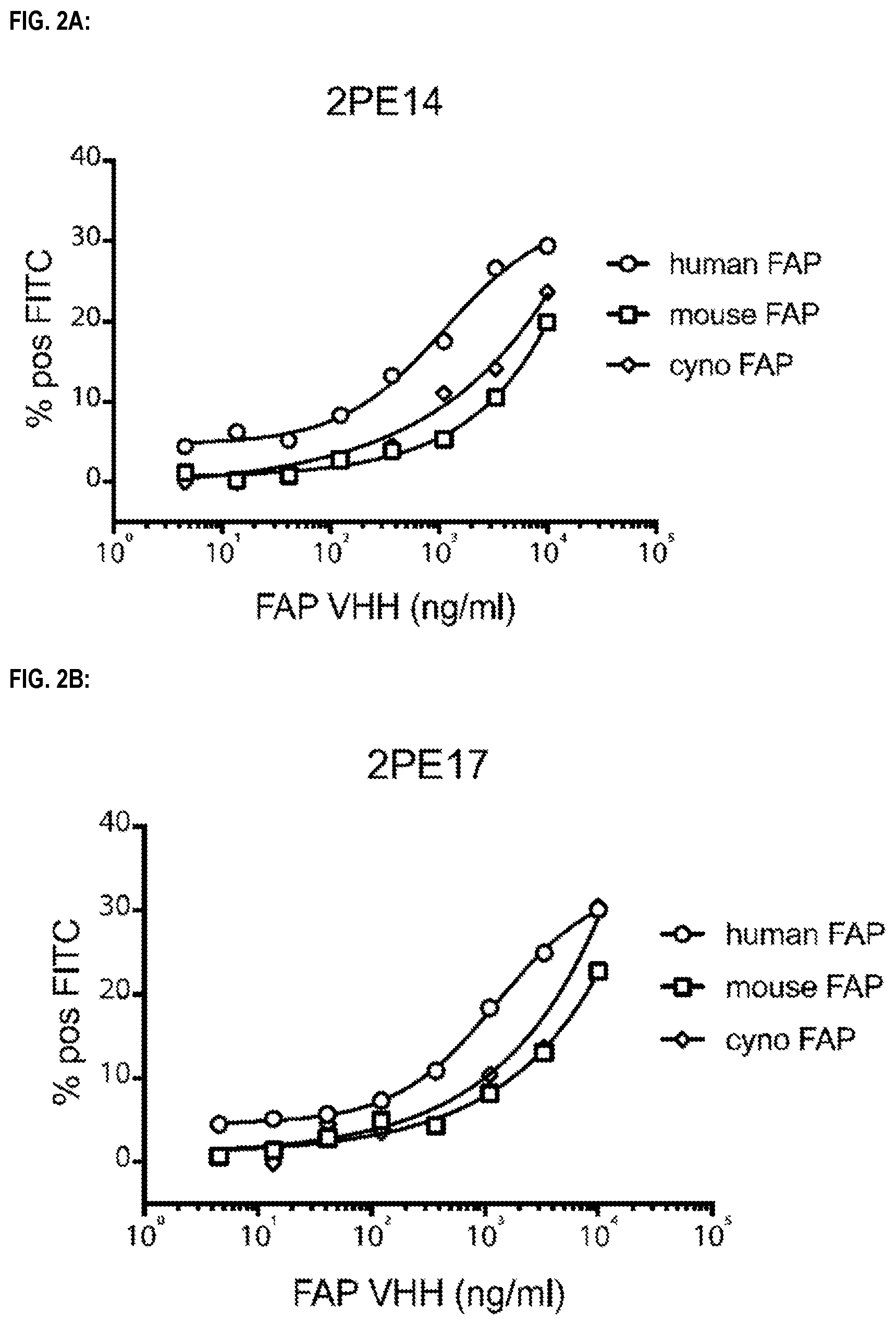 Patent US12583941 Figure 2 – Fibroblast activation protein binding agents and use thereof