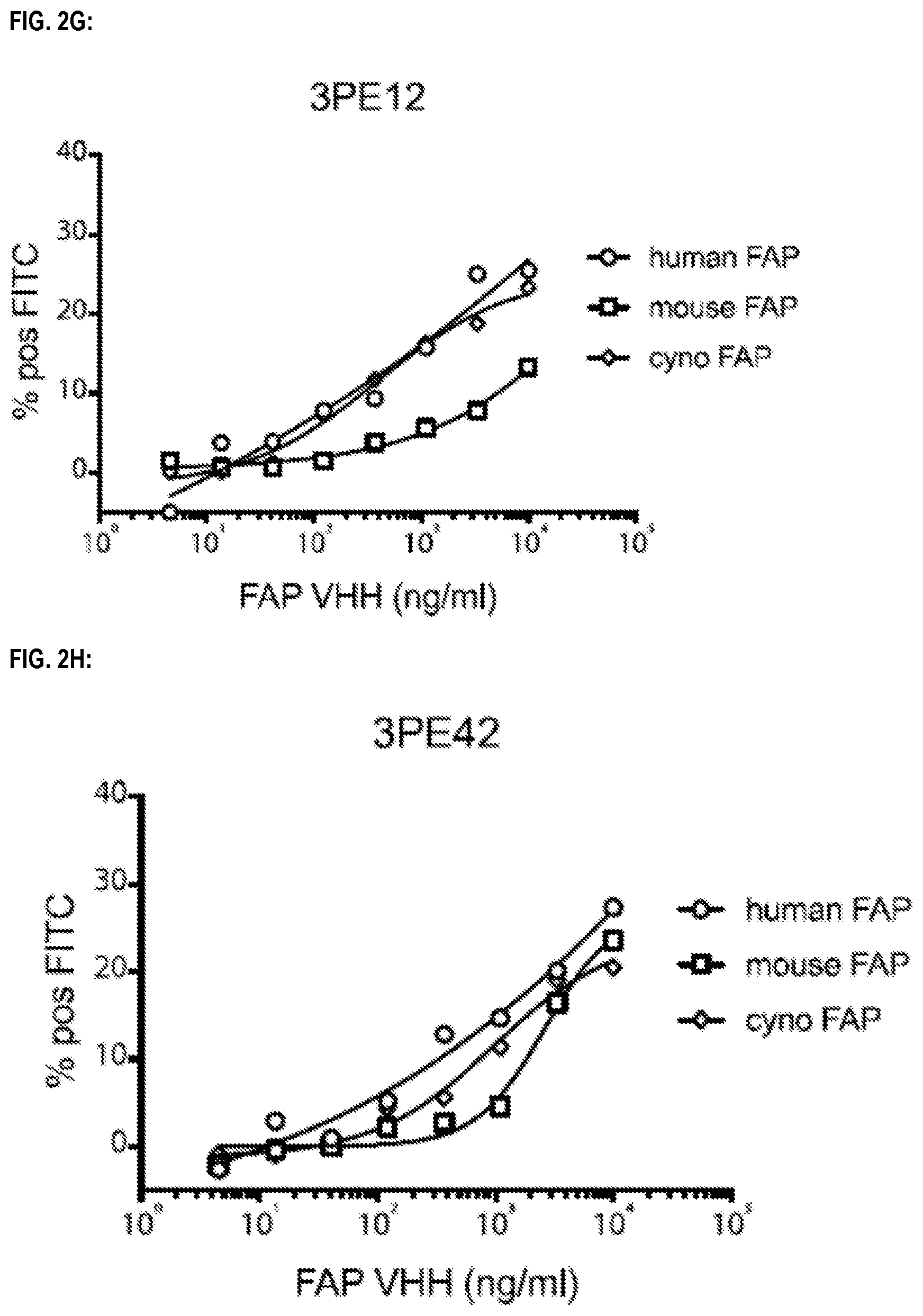 Patent US12583941 Figure 5 – Fibroblast activation protein binding agents and use thereof