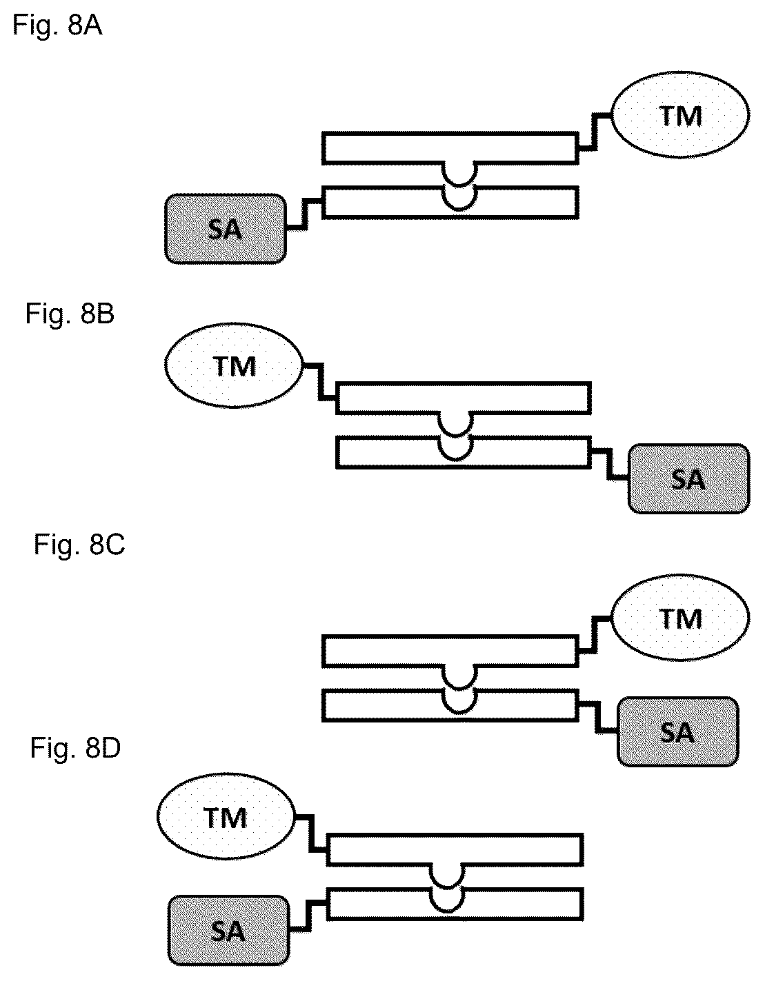 Patent US12583941 Figure 17 – Fibroblast activation protein binding agents and use thereof