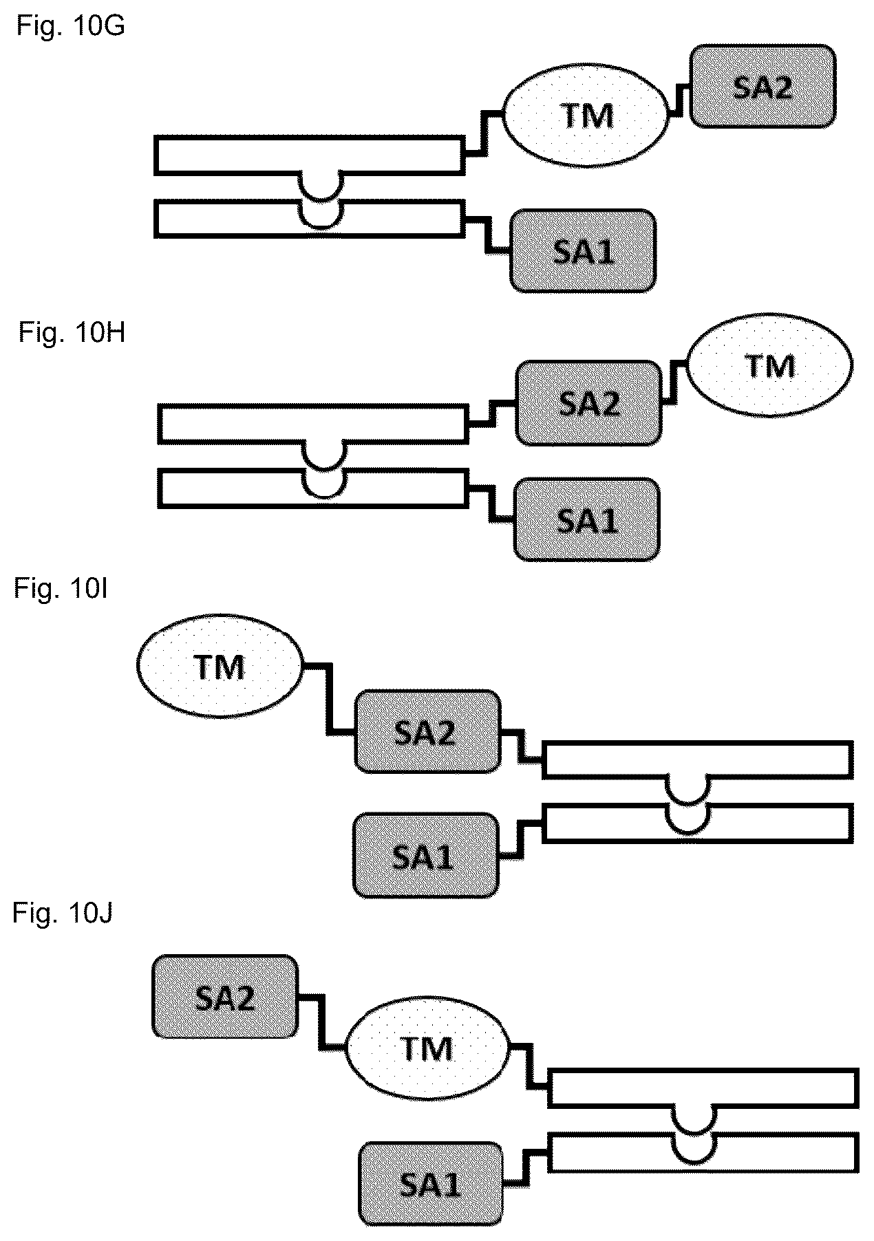 Patent US12583941 Figure 20 – Fibroblast activation protein binding agents and use thereof