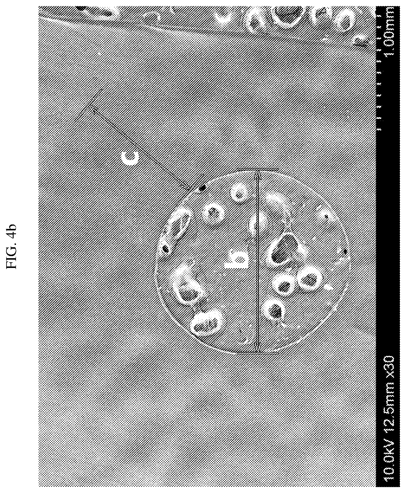Patent US12583988 Figure 3 – Crosslinked polyolefin separator and manufacturing method therefor