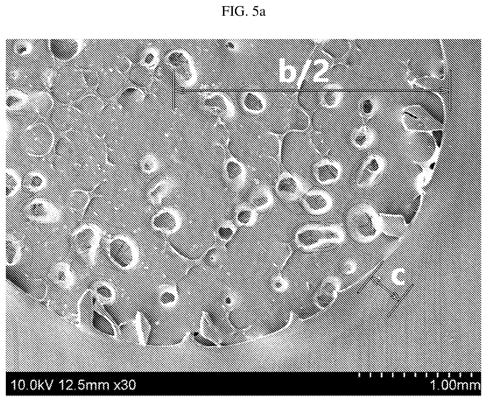 Patent US12583988 Figure 4 – Crosslinked polyolefin separator and manufacturing method therefor