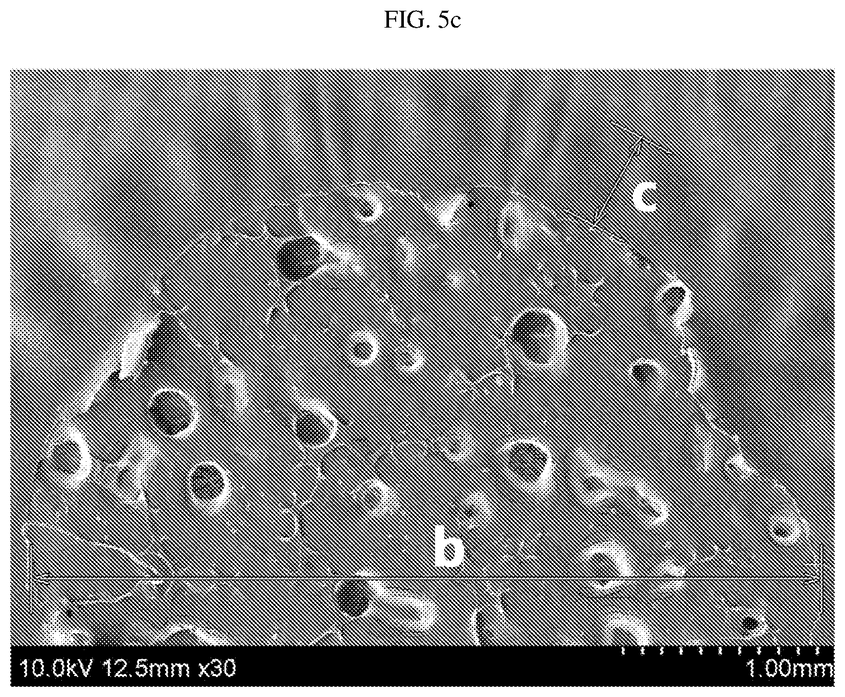 Patent US12583988 Figure 6 – Crosslinked polyolefin separator and manufacturing method therefor
