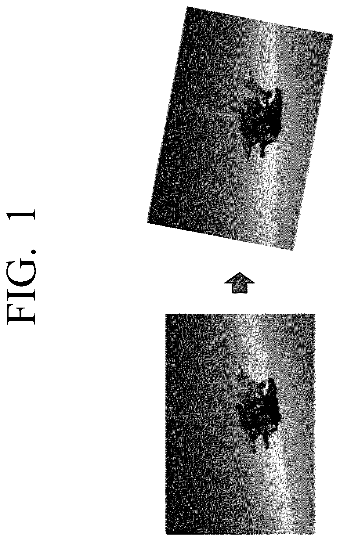 Patent US12586156 Figure 1 – Method, system and apparatus for image orientation correction