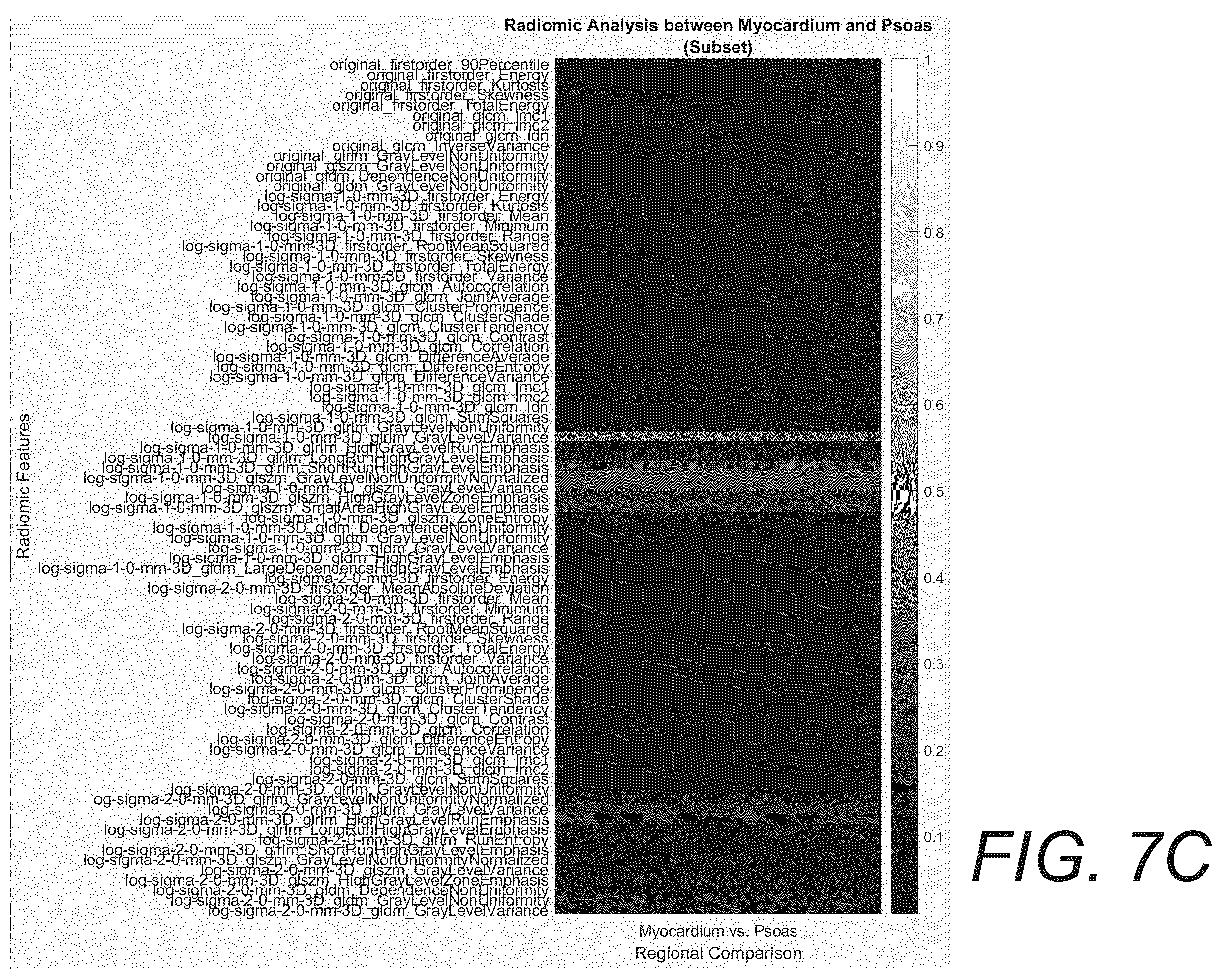 Patent US12586181 Figure 10 – Functional imaging features from computed tomography images