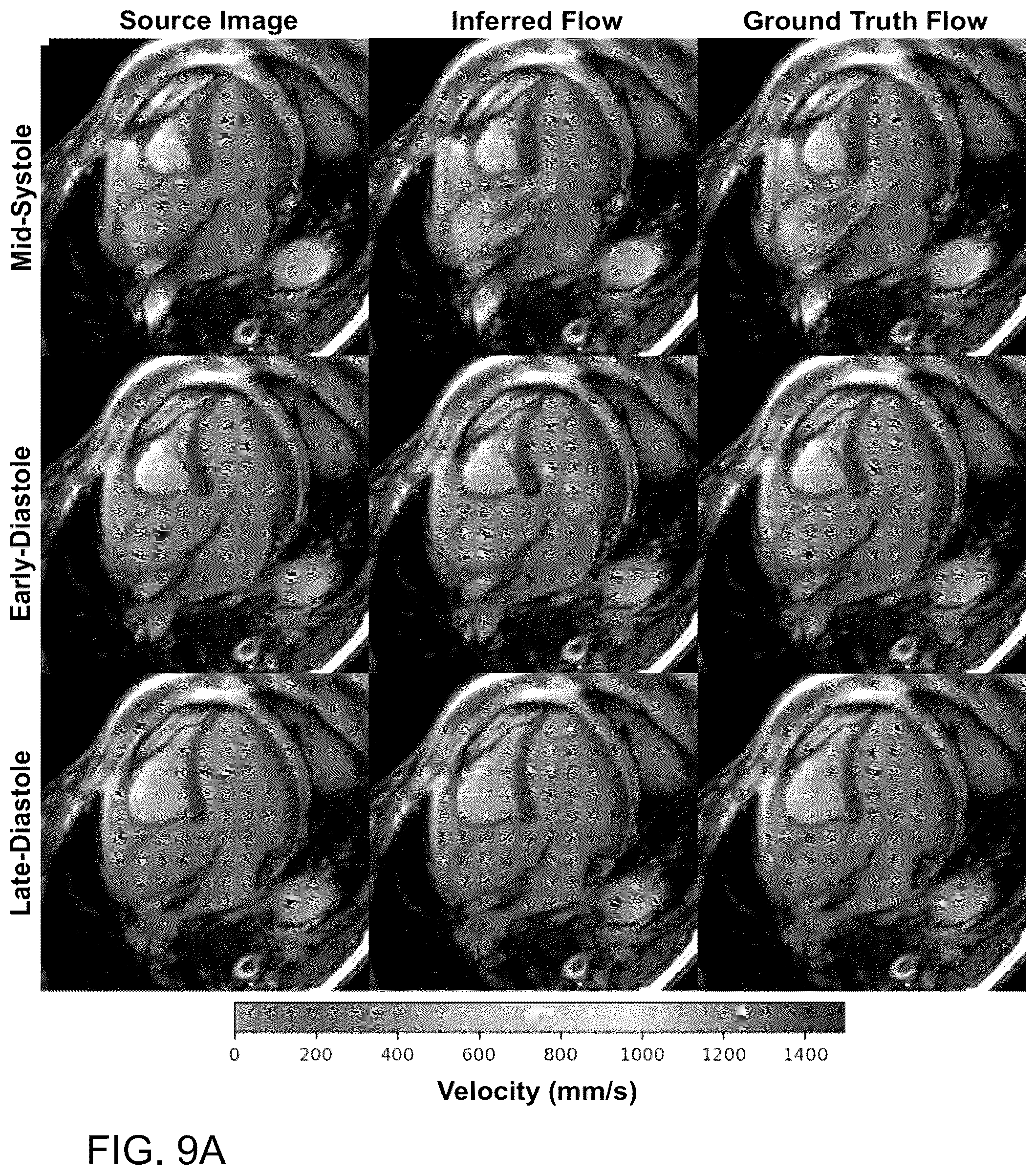 Patent US12586182 Figure 10 – Multi-prong multitask convolutional neural network for biomedical image inference