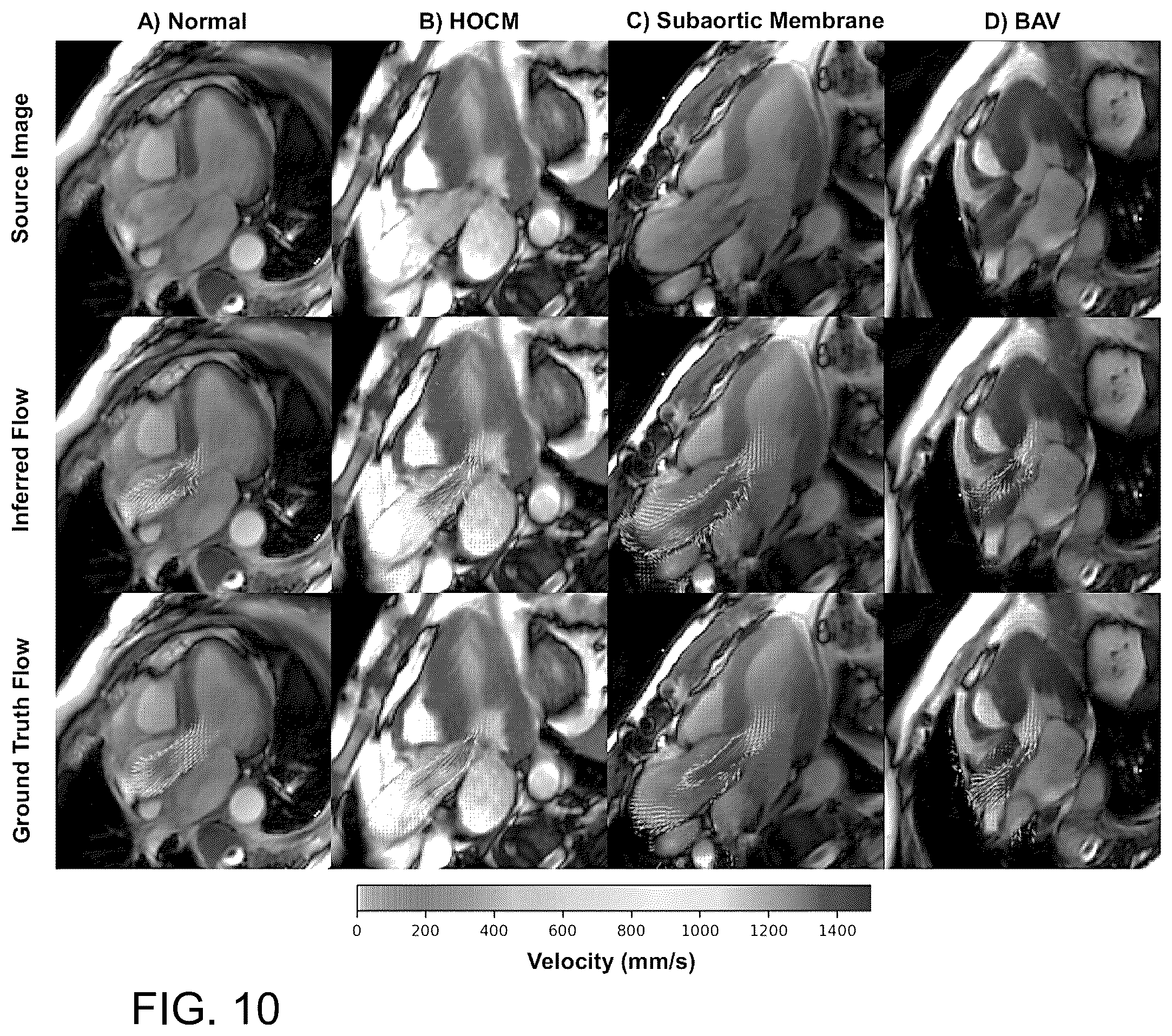 Patent US12586182 Figure 12 – Multi-prong multitask convolutional neural network for biomedical image inference