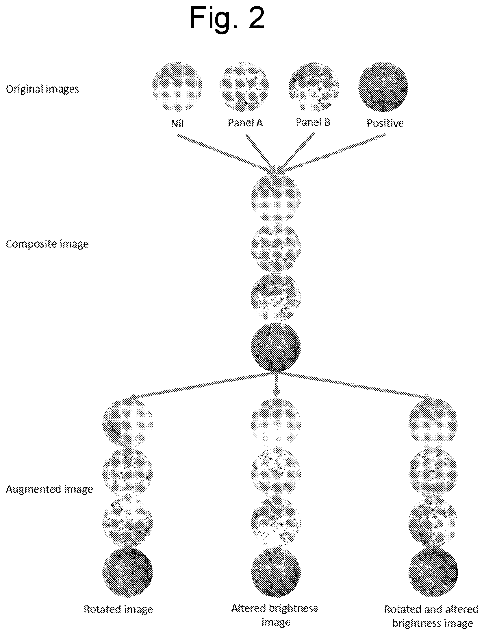 Patent US12586183 Figure 2 – Method for diagnosing latent tuberculosis infection