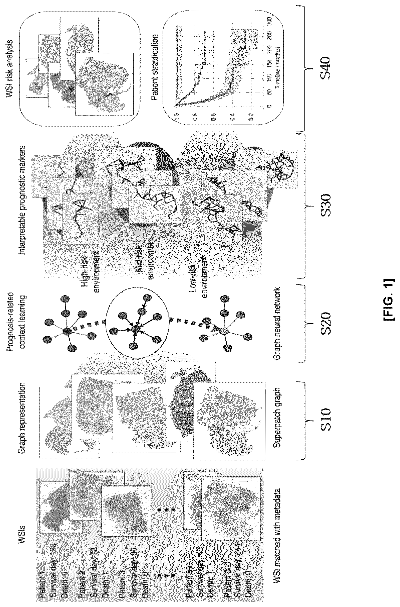 Patent US12586184 Figure 1 – Methods and apparatus for analyzing pathology patterns of whole-slide images based on graph deep learning