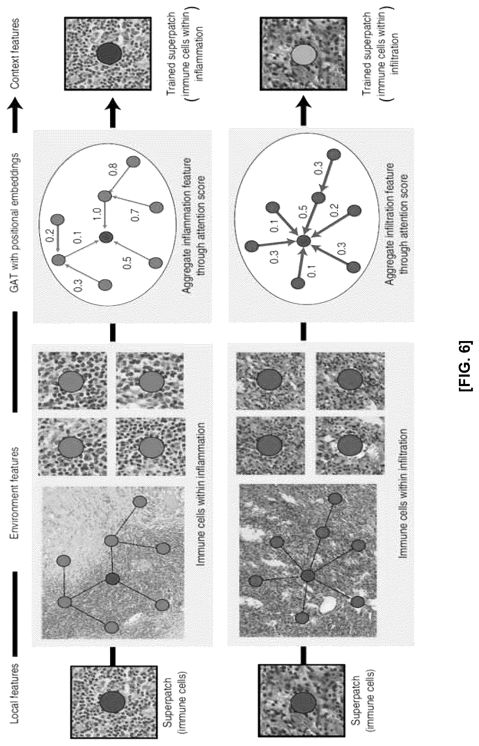 Patent US12586184 Figure 6 – Methods and apparatus for analyzing pathology patterns of whole-slide images based on graph deep learning