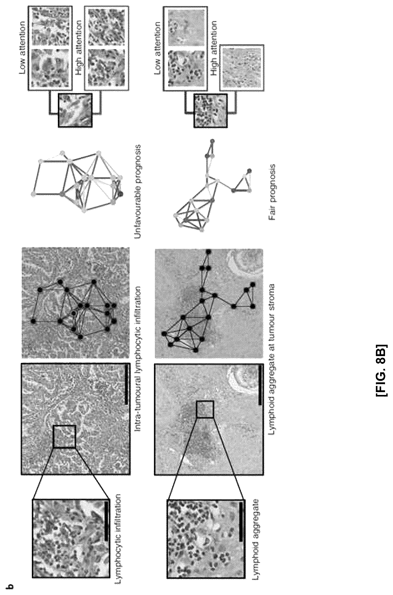 Patent US12586184 Figure 9 – Methods and apparatus for analyzing pathology patterns of whole-slide images based on graph deep learning
