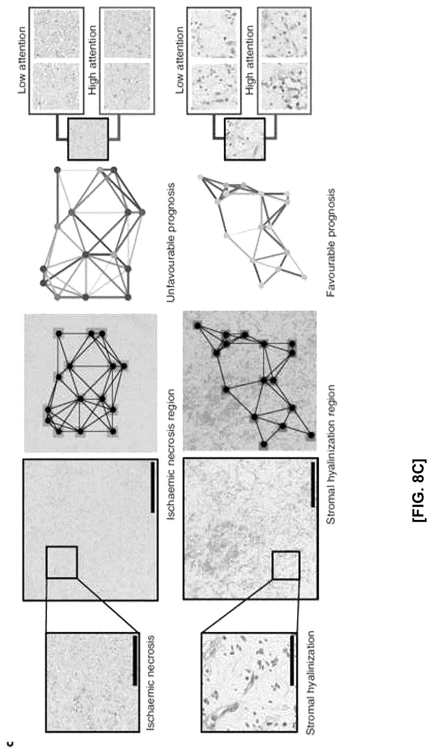 Patent US12586184 Figure 10 – Methods and apparatus for analyzing pathology patterns of whole-slide images based on graph deep learning