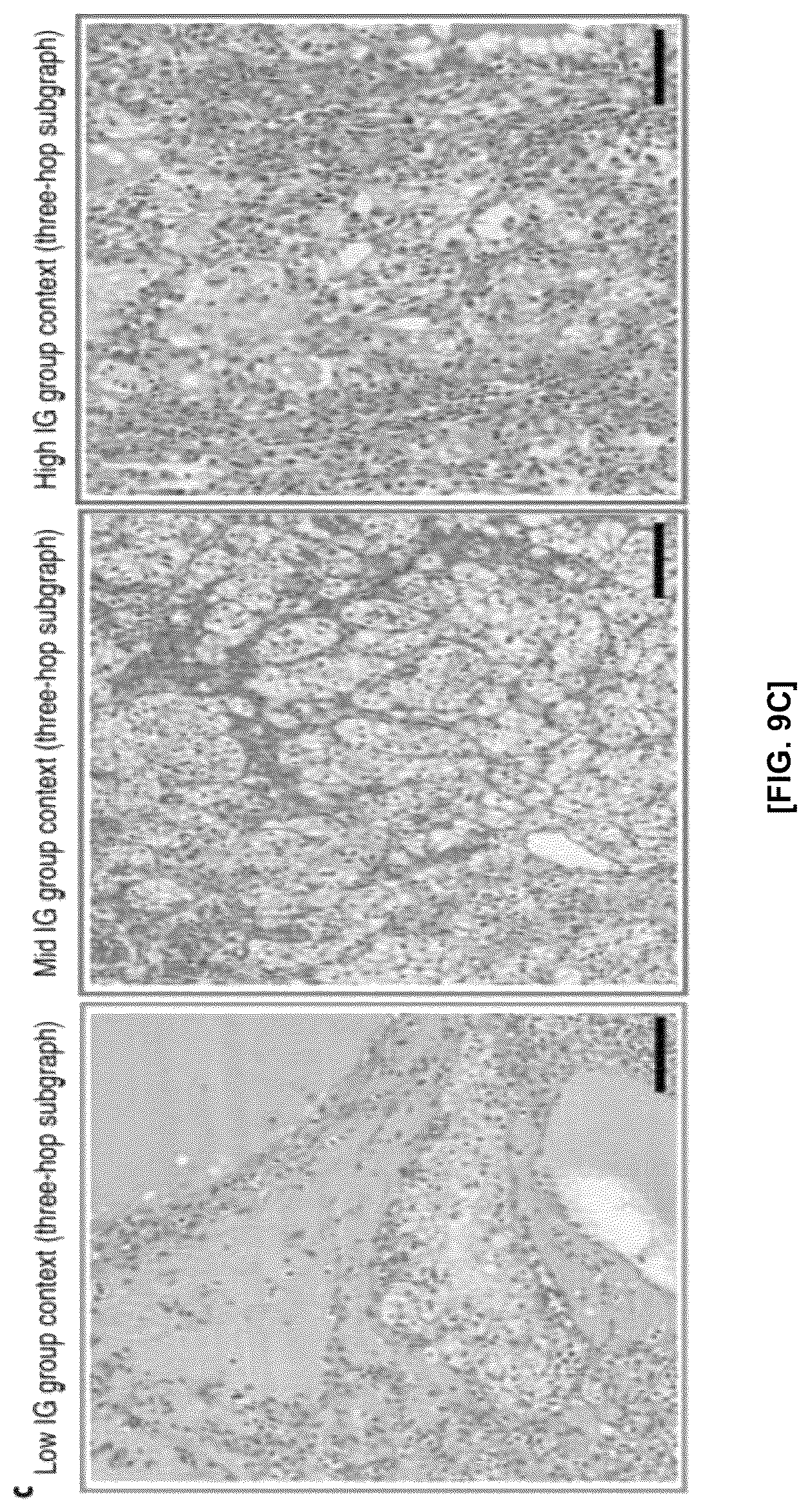 Patent US12586184 Figure 13 – Methods and apparatus for analyzing pathology patterns of whole-slide images based on graph deep learning