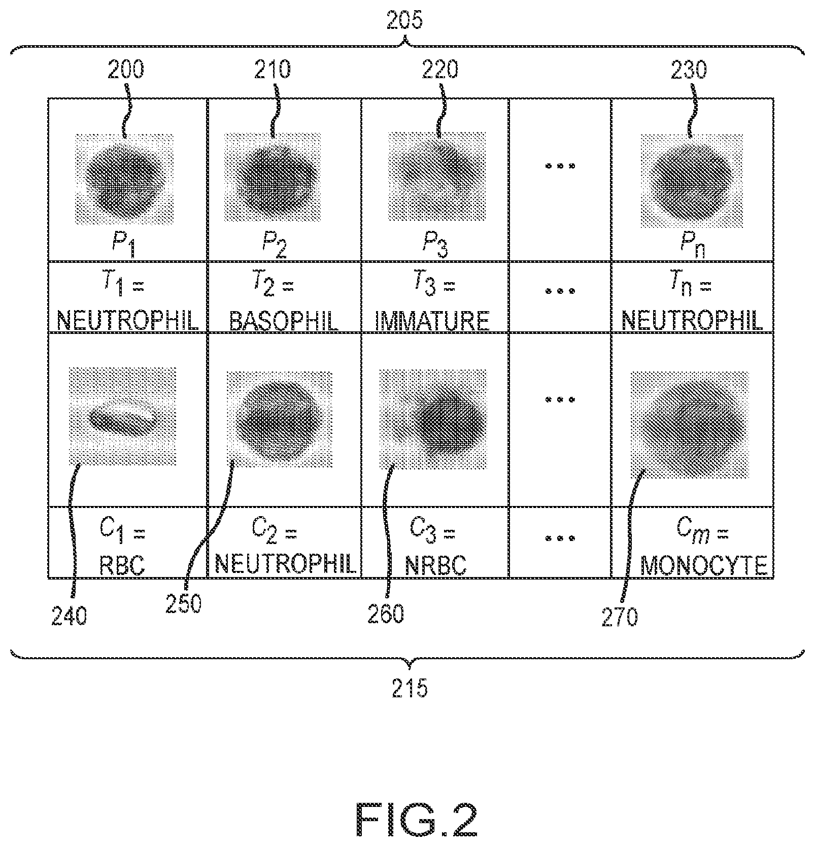 Patent US12586190 Figure 2 – System and method of classification of biological particles