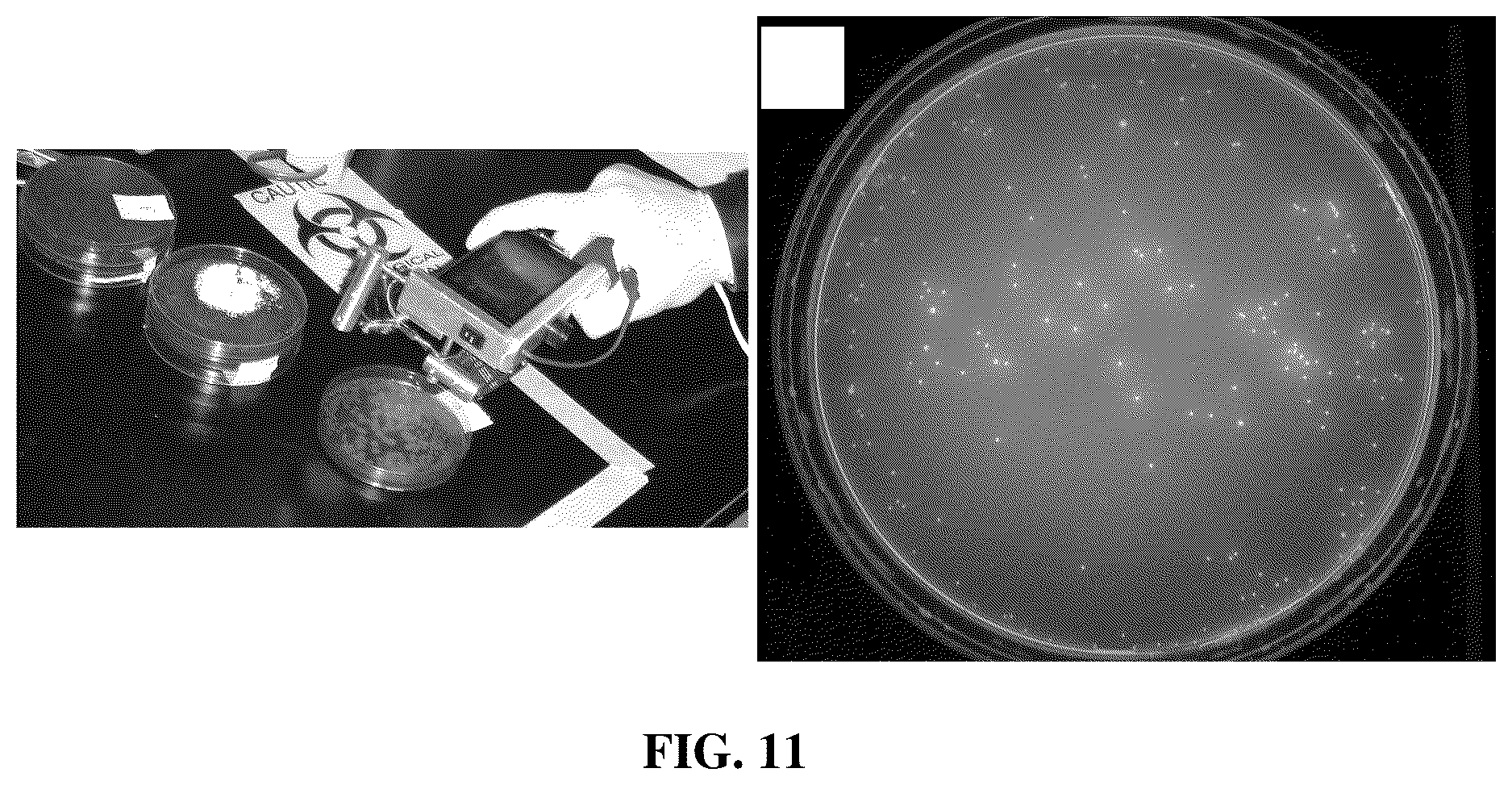 Patent US12586197 Figure 16 – Systems, devices, and methods for visualization of tissue and collection and analysis of data regarding same