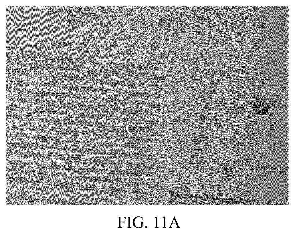 Patent US12586223 Figure 12 – Method for reconstructing three-dimensional object combining structured light and photometry and terminal device