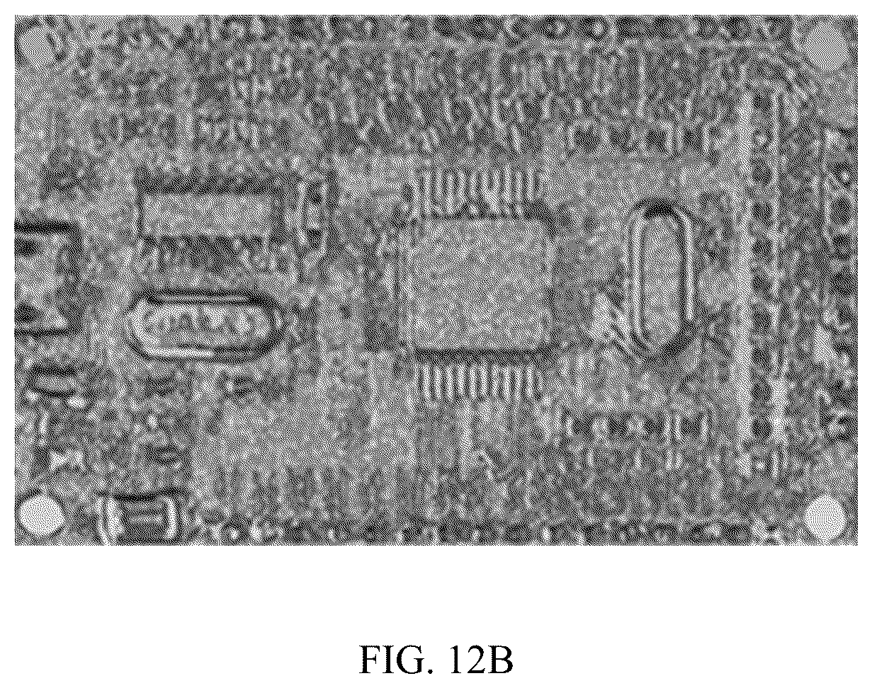 Patent US12586223 Figure 17 – Method for reconstructing three-dimensional object combining structured light and photometry and terminal device