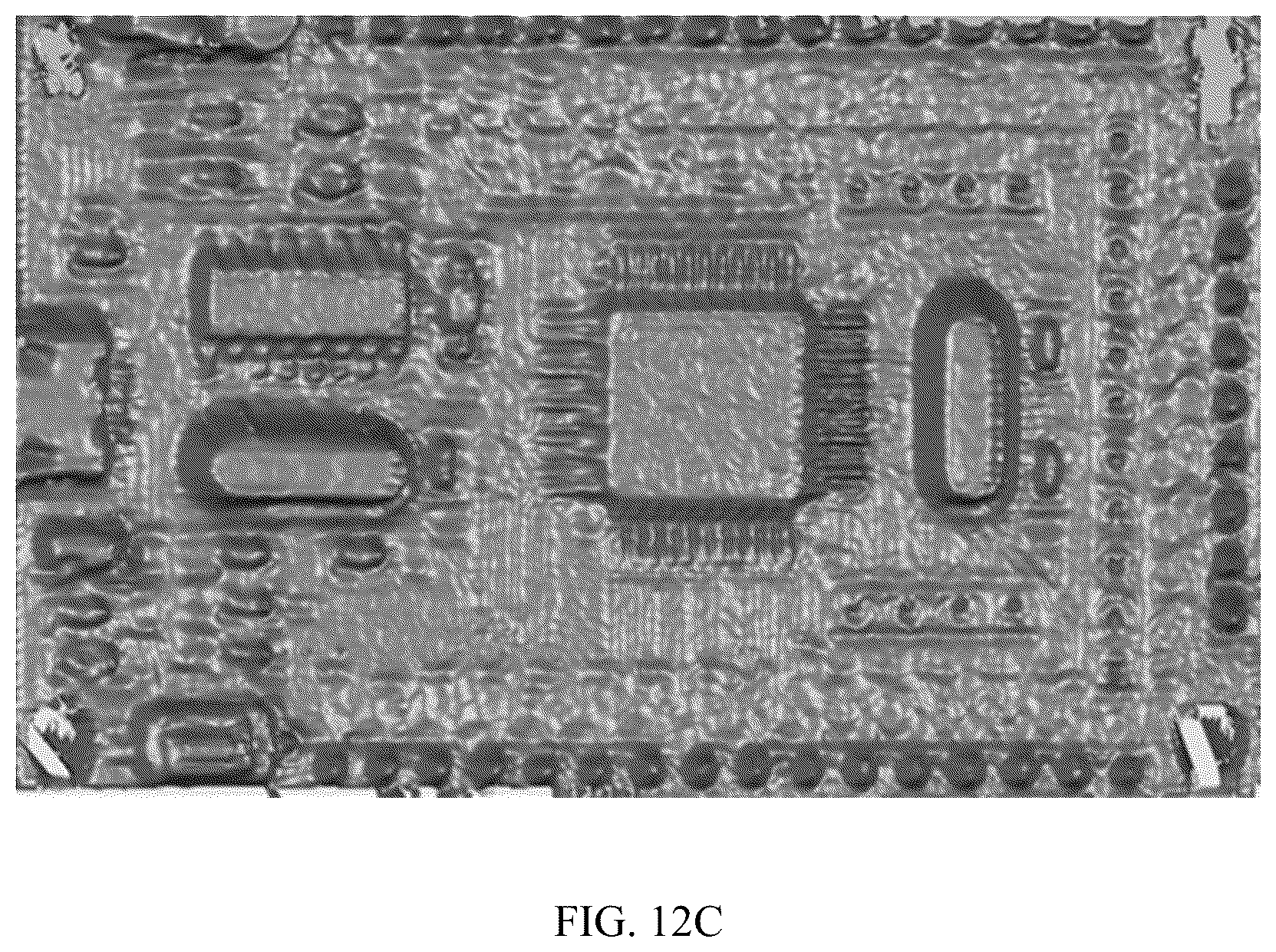 Patent US12586223 Figure 18 – Method for reconstructing three-dimensional object combining structured light and photometry and terminal device