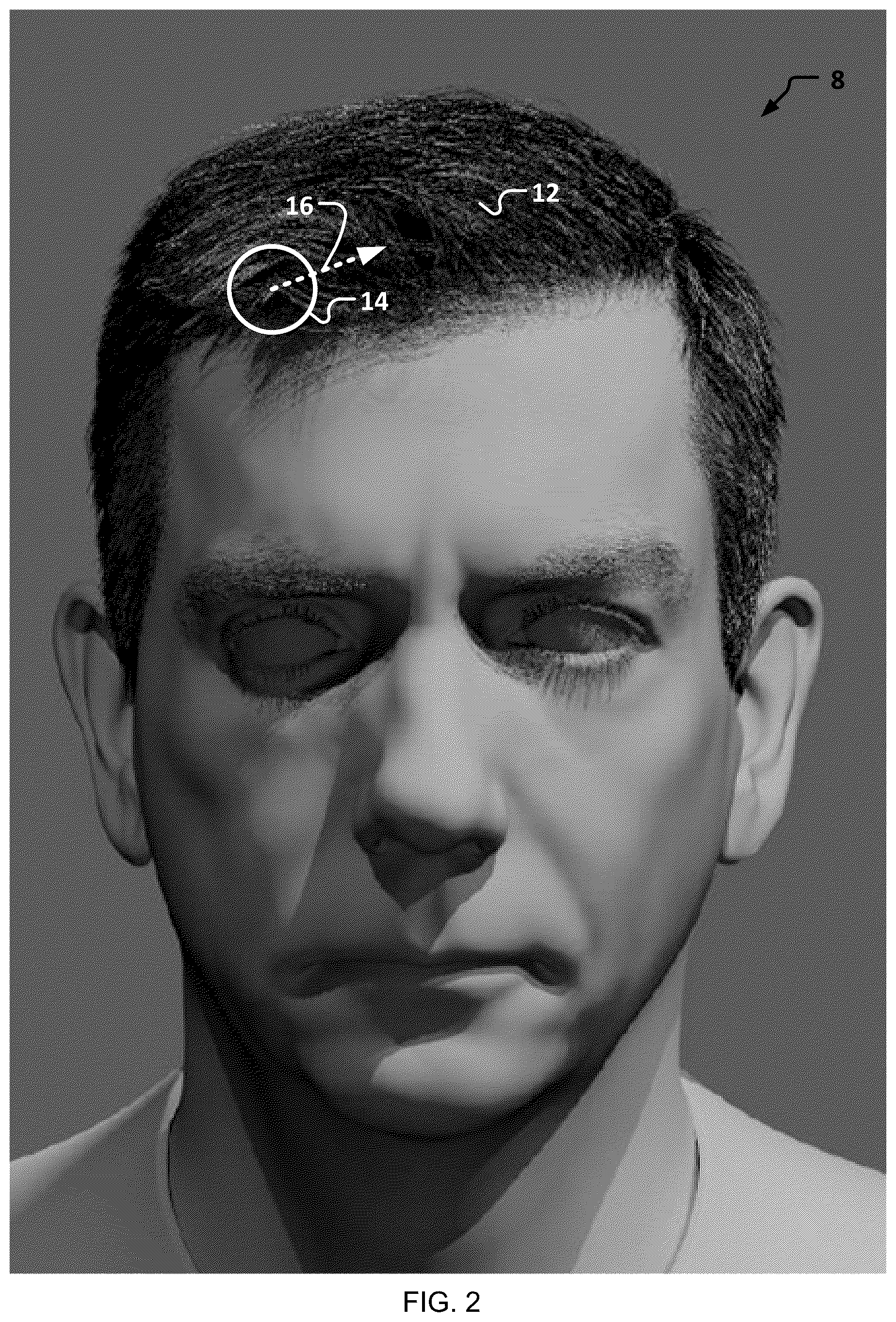 Patent US12586284 Figure 2 – Methods and systems for manipulating and transferring computer-simulated hair