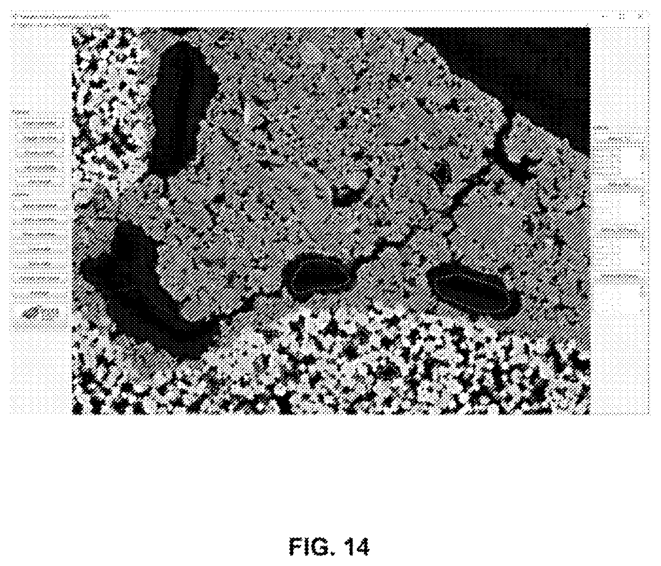 Patent US12586390 Figure 14 – Systems, methods, and computer-readable media for characterizing microspheric material