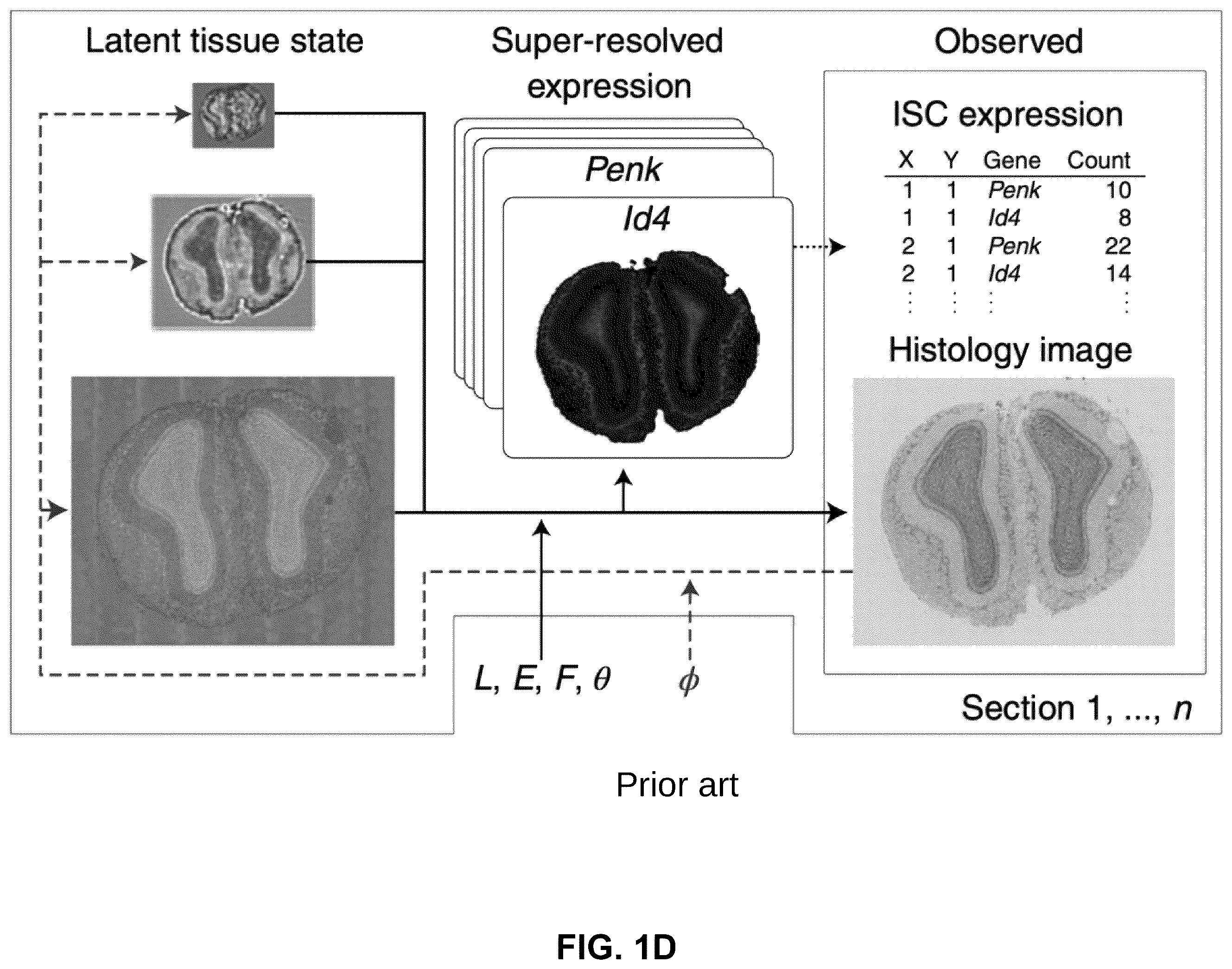 Patent US12586391 Figure 4 – Systems and methods for deconvolving cell types in histology slide images, using super-resolution spatial transcriptomics data