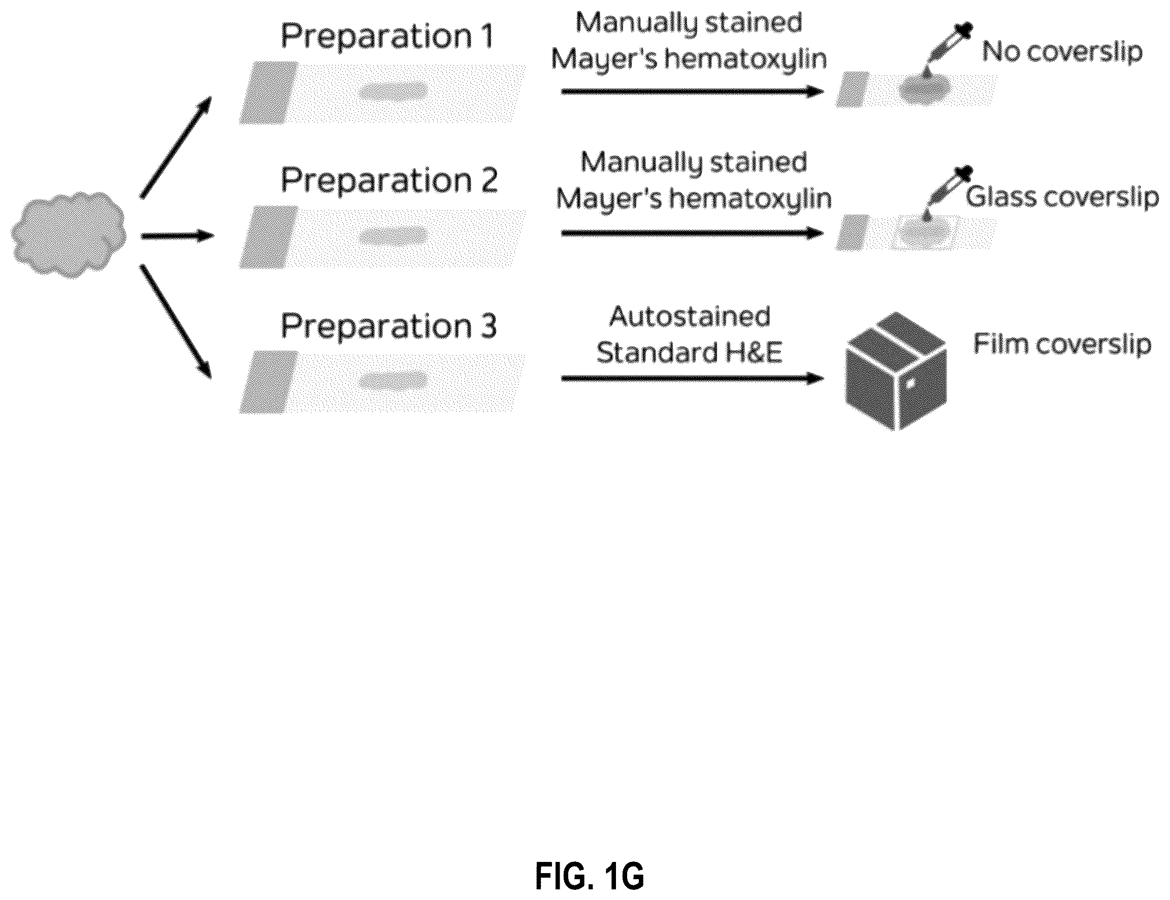 Patent US12586391 Figure 7 – Systems and methods for deconvolving cell types in histology slide images, using super-resolution spatial transcriptomics data