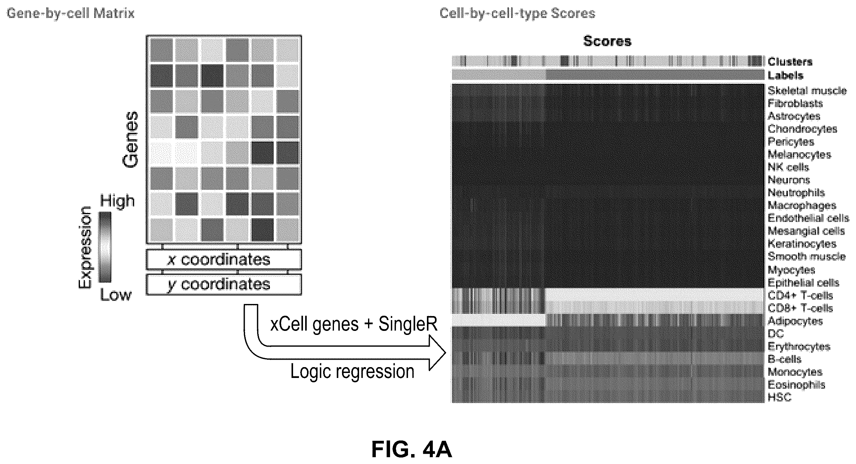 Patent US12586391 Figure 18 – Systems and methods for deconvolving cell types in histology slide images, using super-resolution spatial transcriptomics data