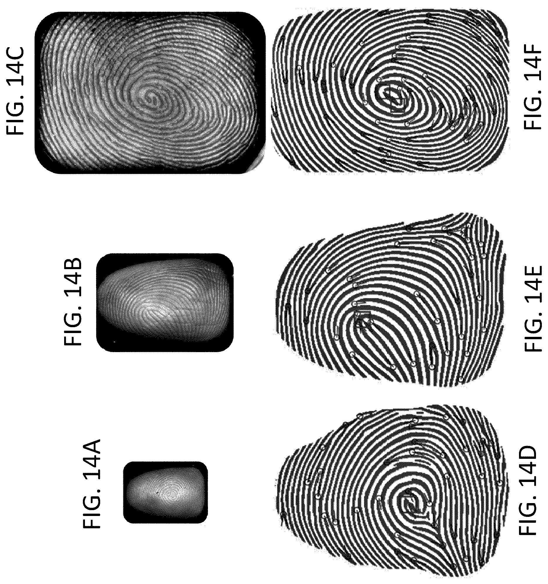 Patent US12586405 Figure 20 – Fingerprint capture devices, systems and methods