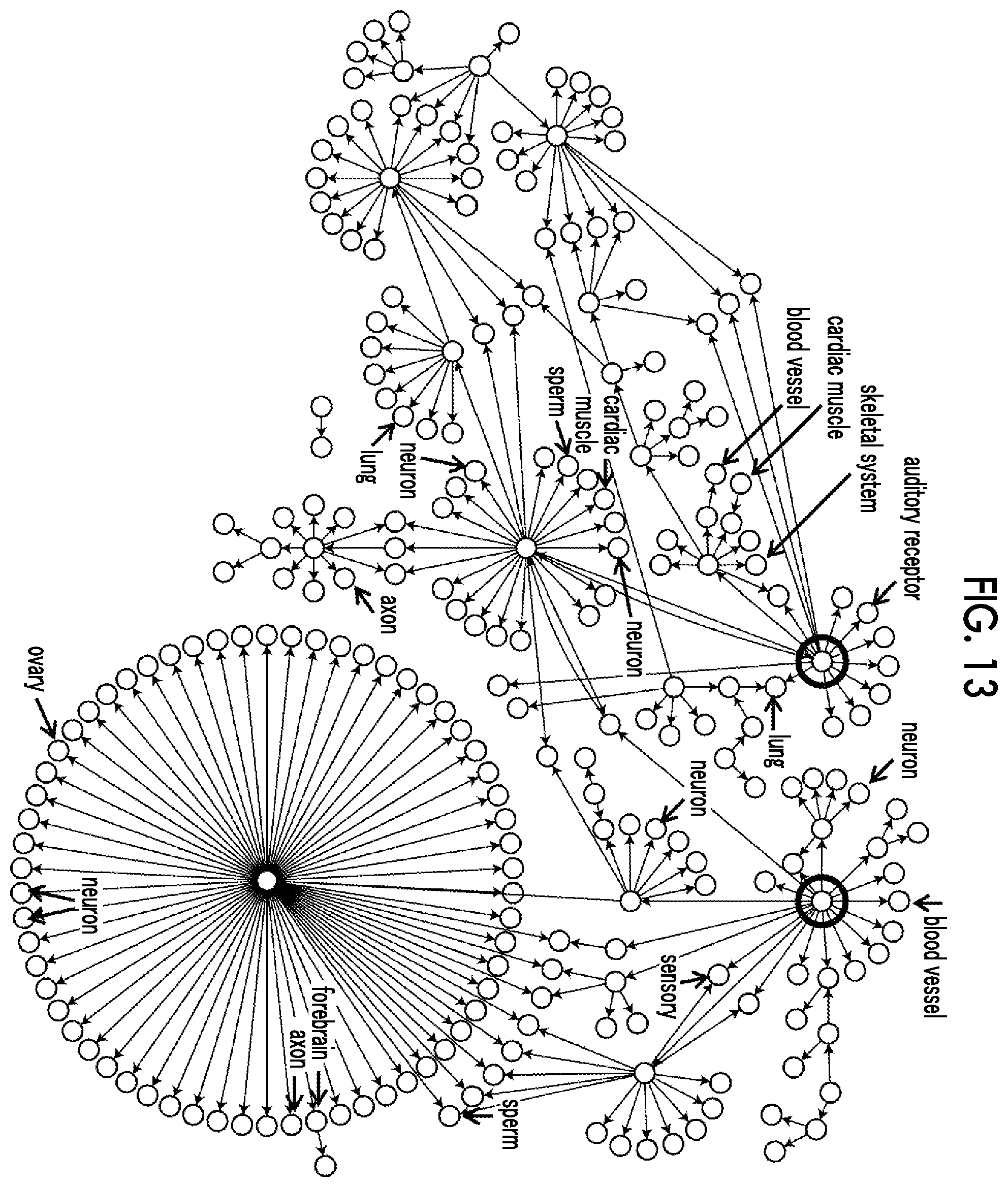 Patent US12586662 Figure 12 – Biological material analysis method, biological material analysis device, and biological material analysis program
