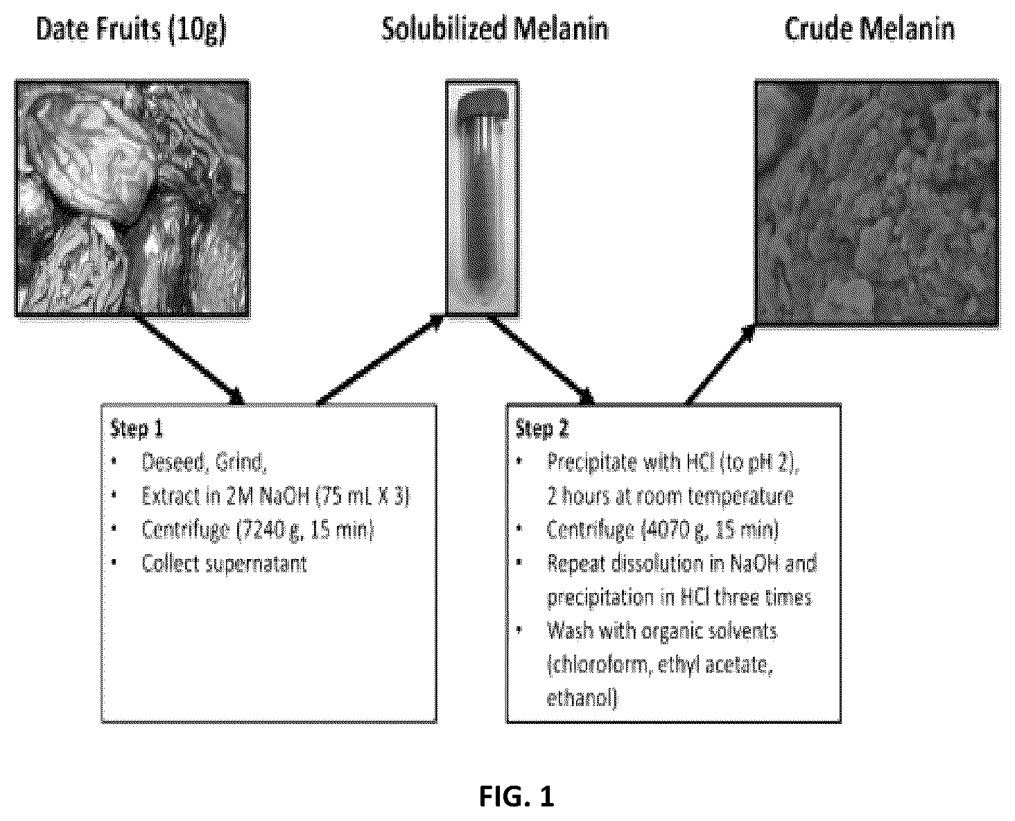 Patent US12586693 Figure 1 – Electrical component comprising date fruit derived melanin