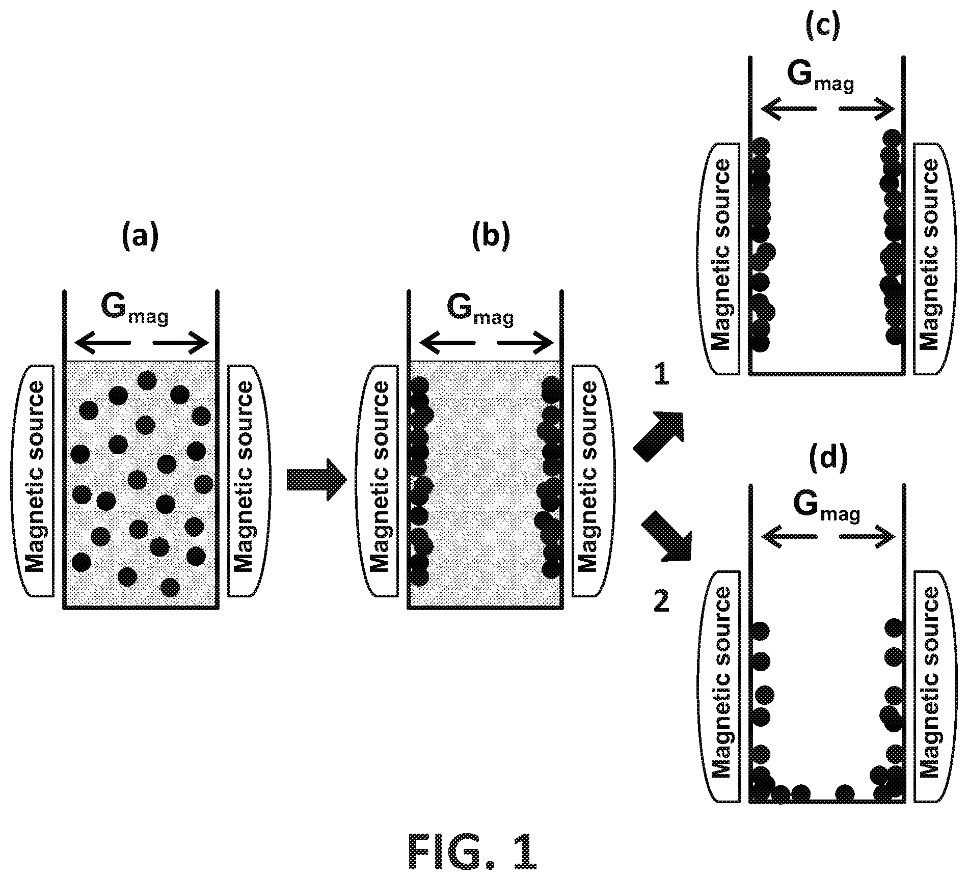 Patent US12586703 Figure 1 – Biomagnetic separation system with double ring profile