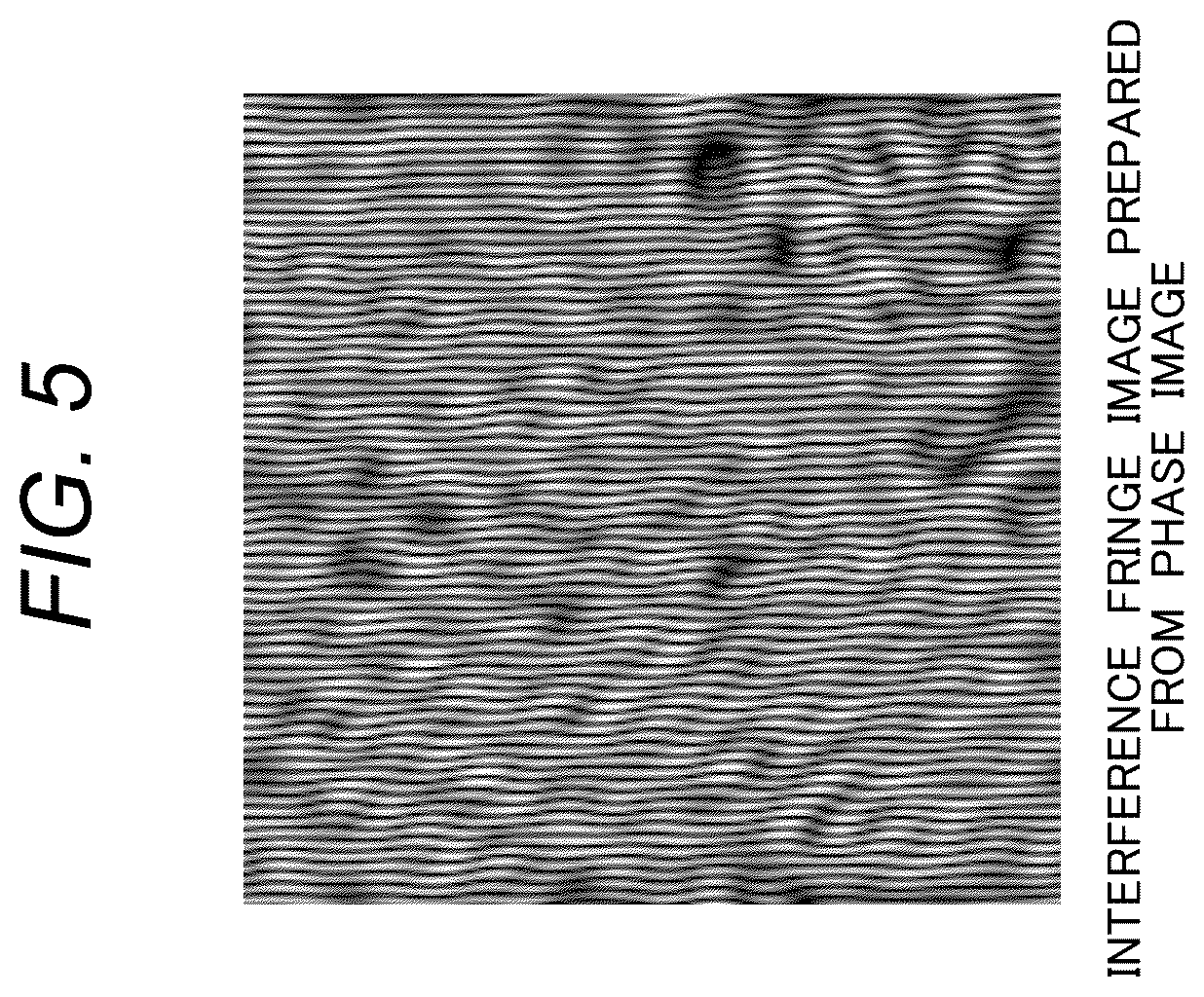 Patent US12586754 Figure 5 – Phase image processing apparatus and phase image processing method