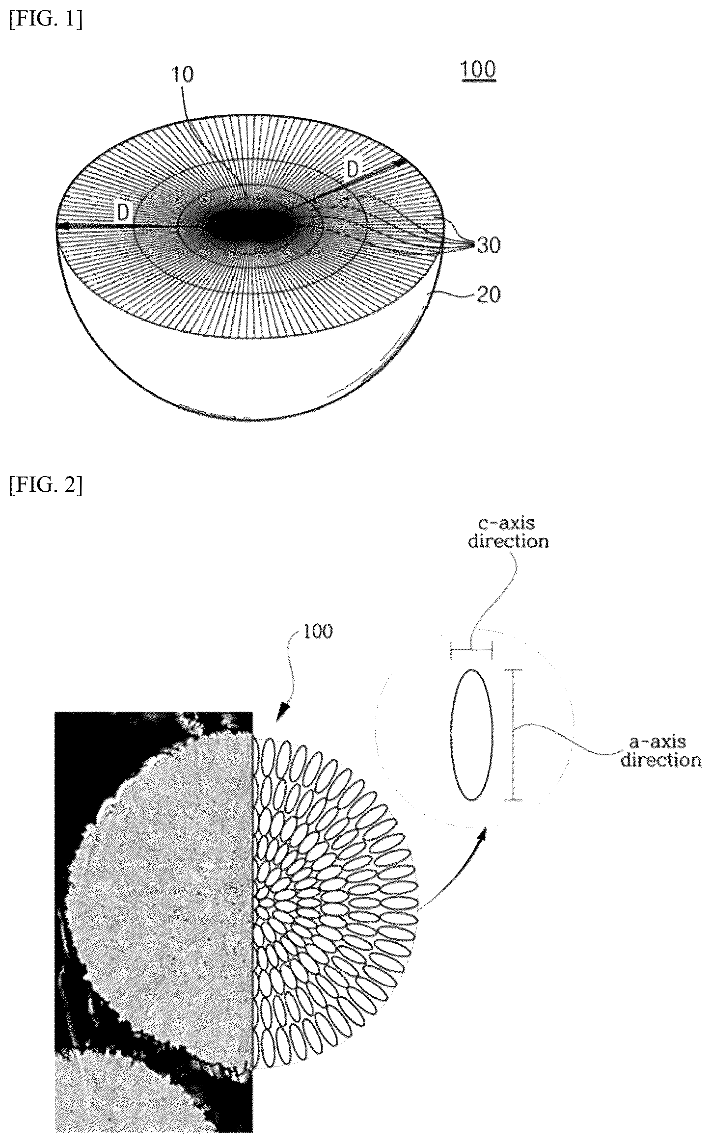 Patent US12586791 Figure 1 – Fluorine-containing positive electrode active material for lithium secondary battery, and lithium secondary battery including same