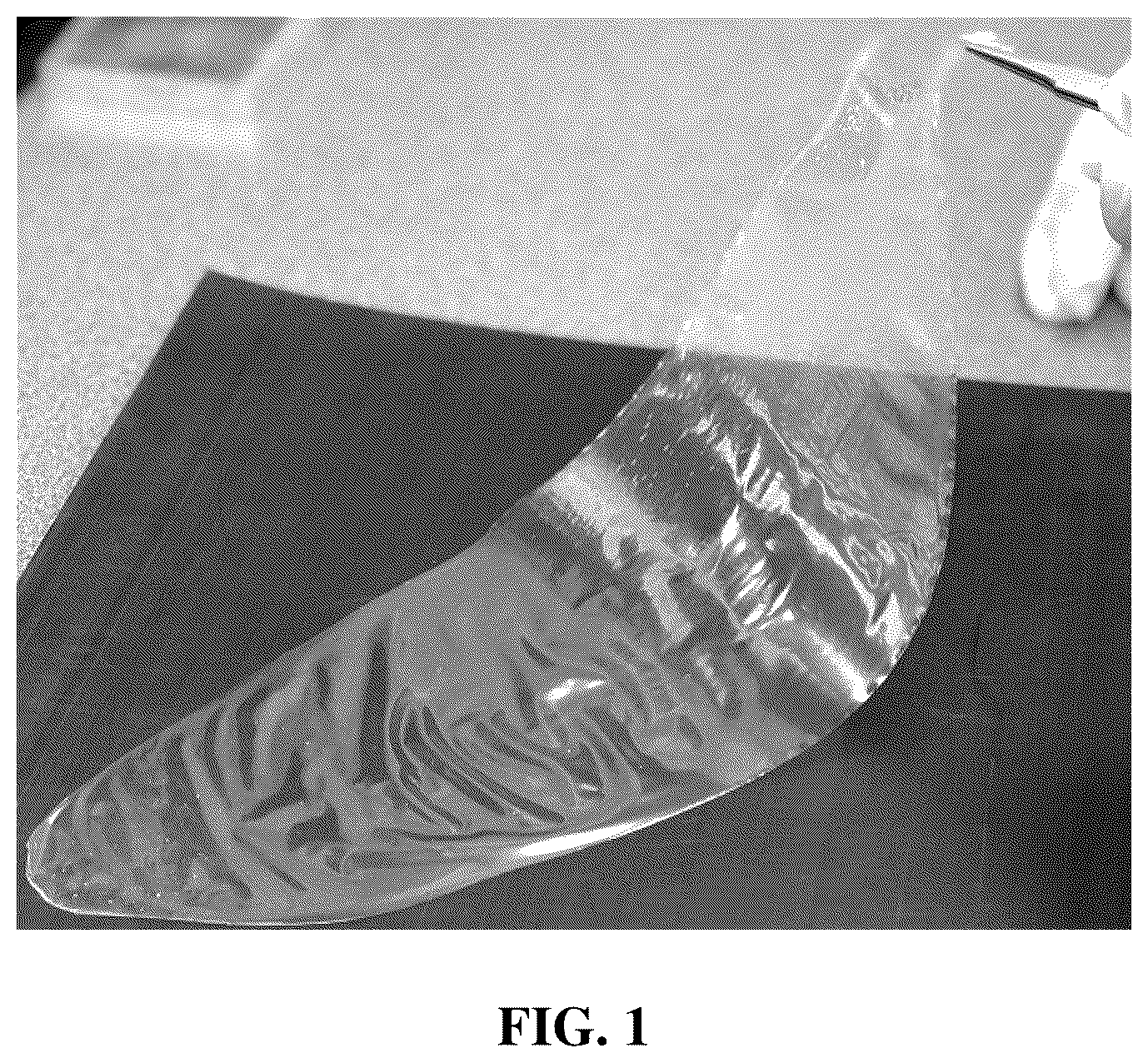 Patent US12586816 — Energy storage devices with polymer electrolytes and fillers — Figure 1
