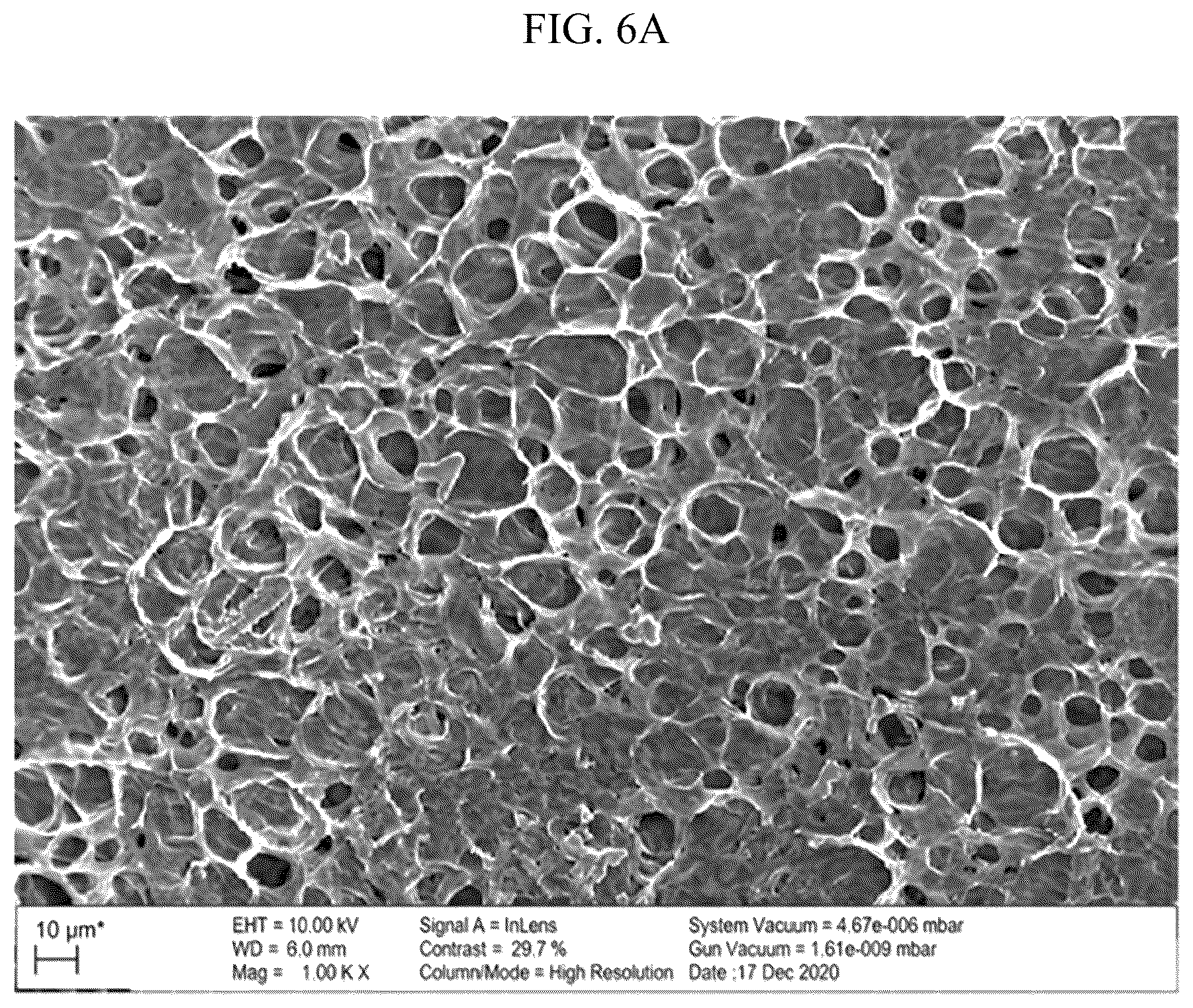 Patent US12586818 Figure 6 – Dextrin-DADMAC based double network polymer gel electrolyte, method for preparing the same and energy storage device including the same