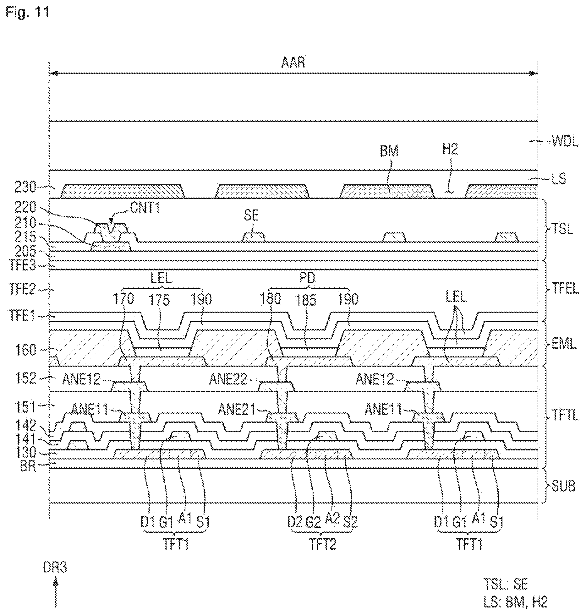 Patent US12588390 Figure 11 – Display device including alternating pixels and optical sensors