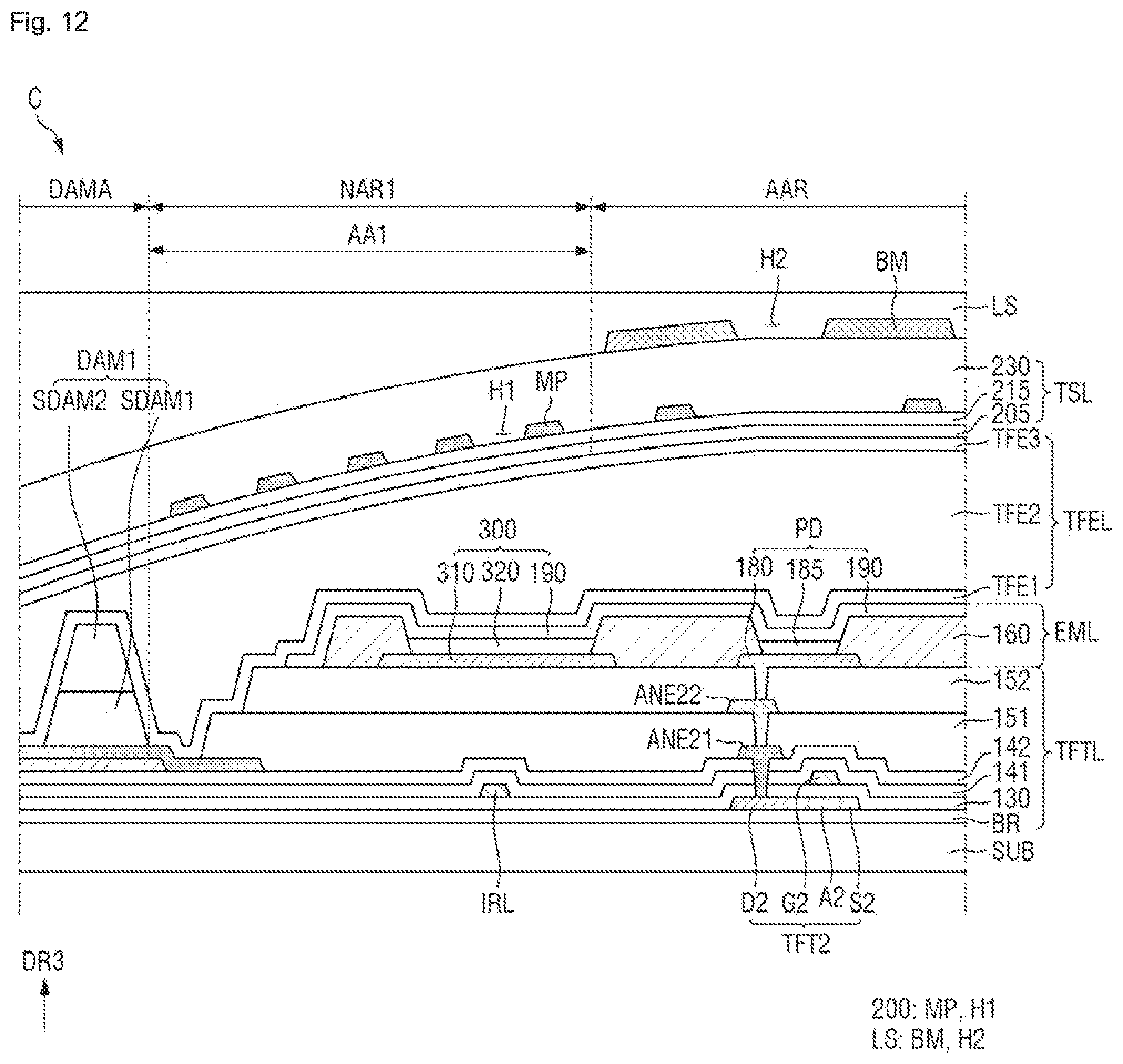 Patent US12588390 Figure 12 – Display device including alternating pixels and optical sensors