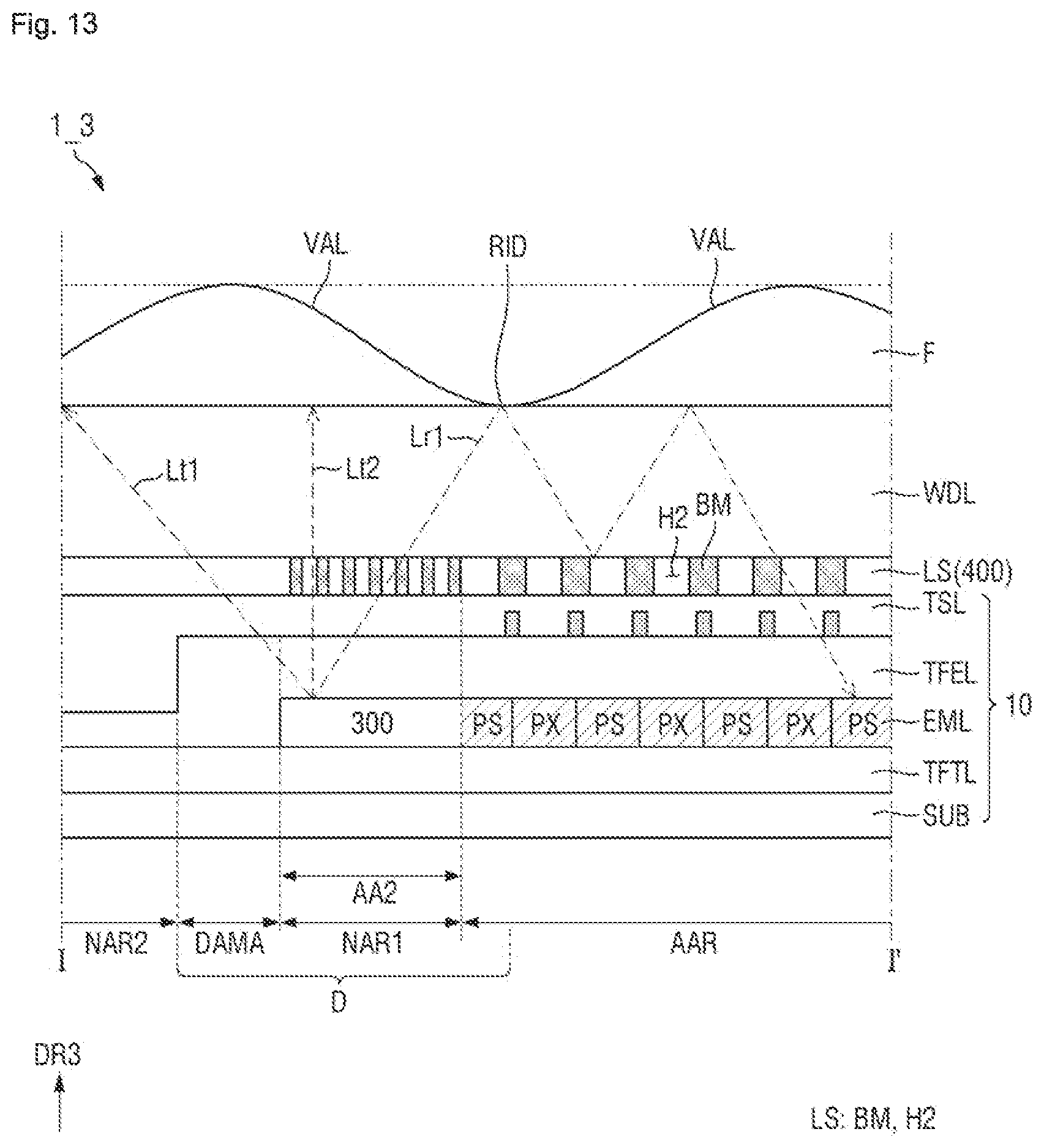 Patent US12588390 Figure 13 – Display device including alternating pixels and optical sensors