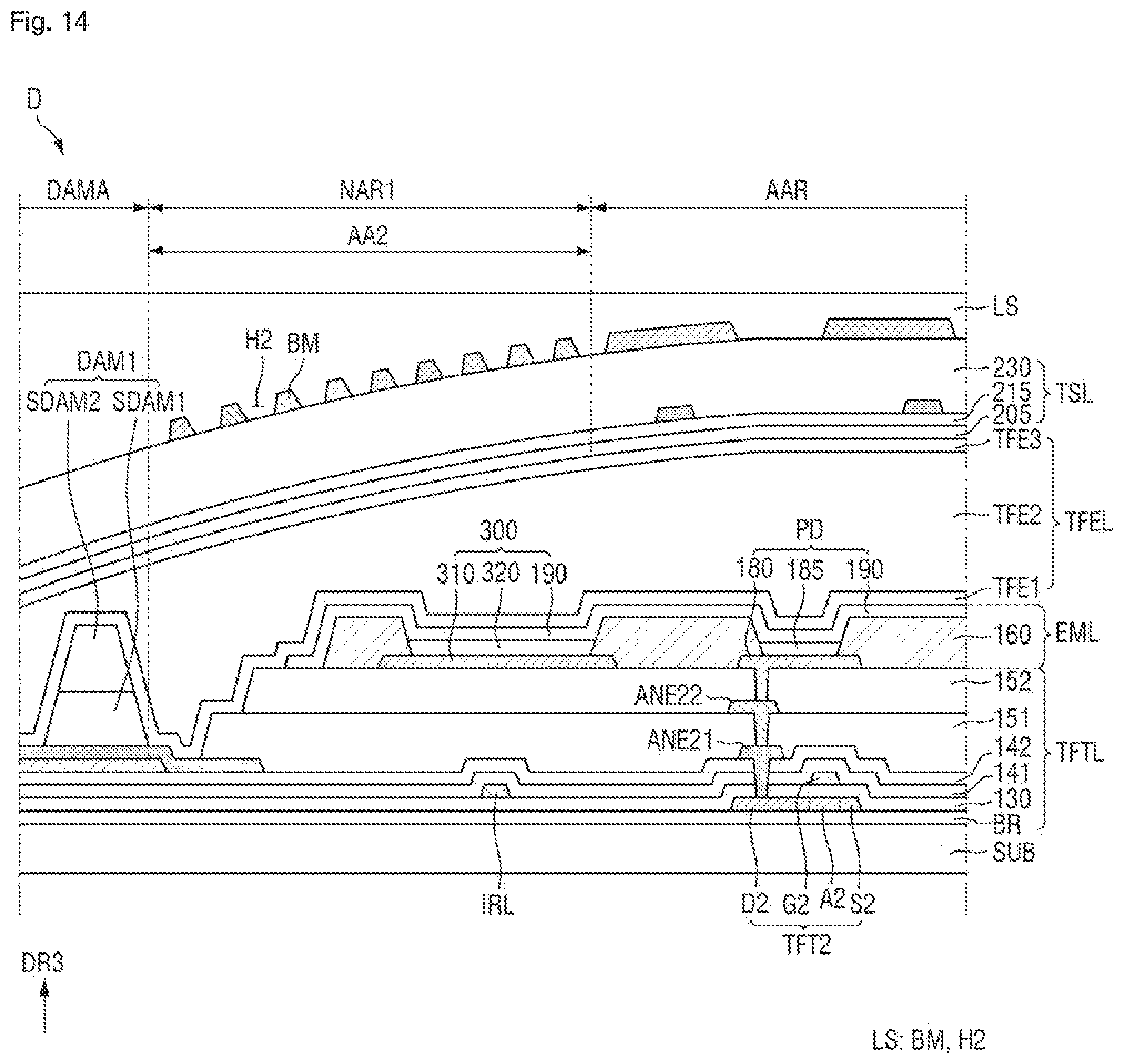 Patent US12588390 Figure 14 – Display device including alternating pixels and optical sensors