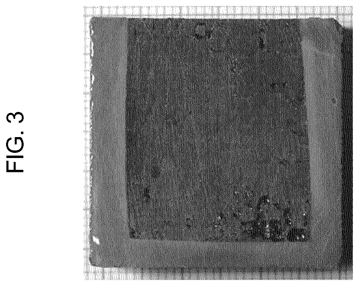 Patent US12588419 Figure 2 – Piezoelectric single crystal including internal electric field, method for manufacturing same, and piezoelectric and dielectric application components using same