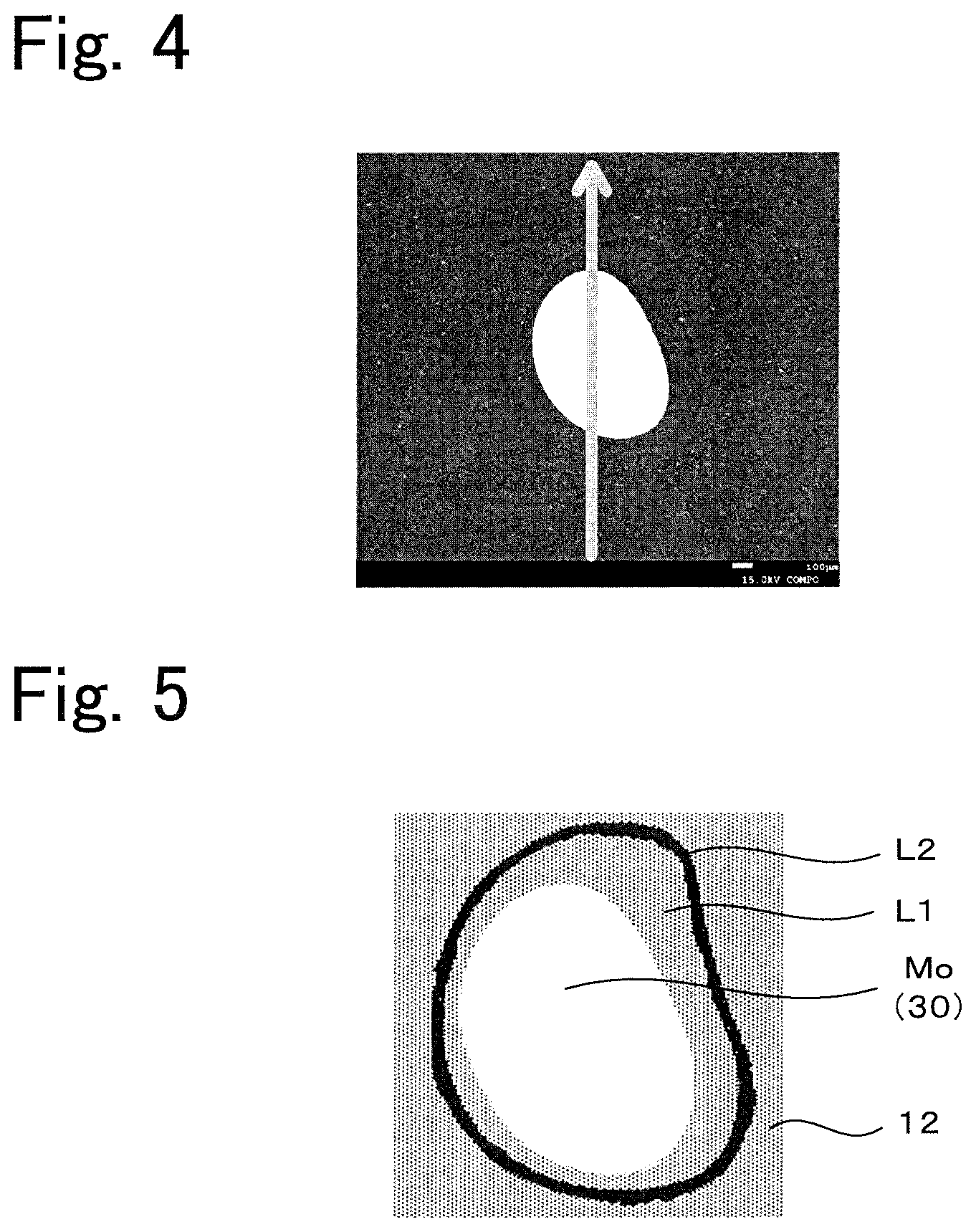 Patent US12588454 Figure 4 – AlN ceramic substrate and heater for semiconductor manufacturing apparatus